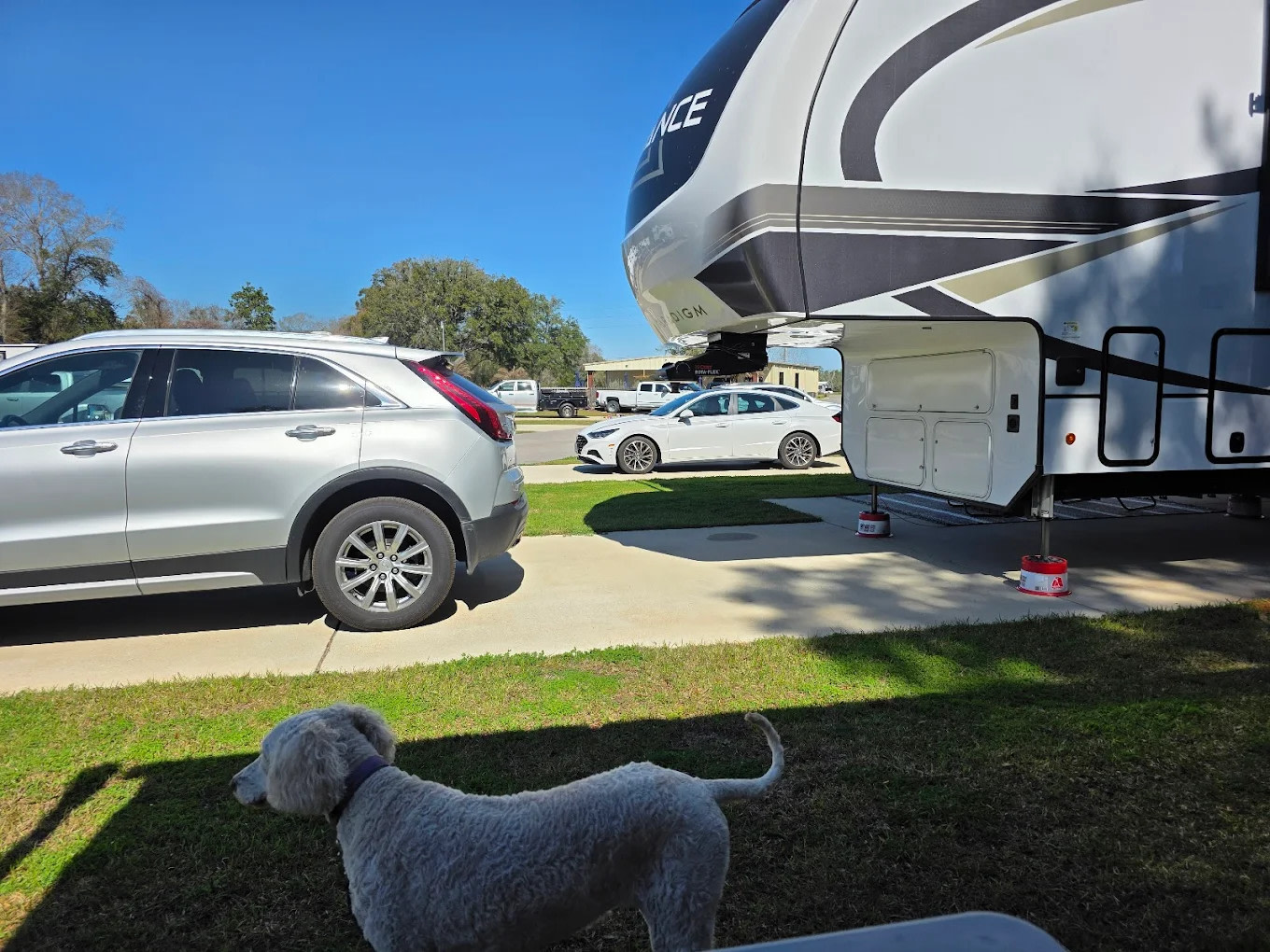 Blue Heron Escape RV Resort