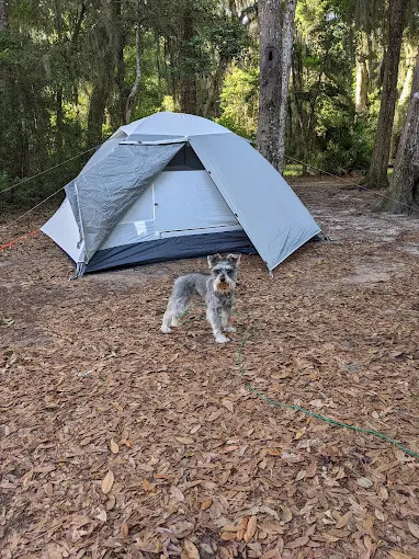 Jekyll Island Campground