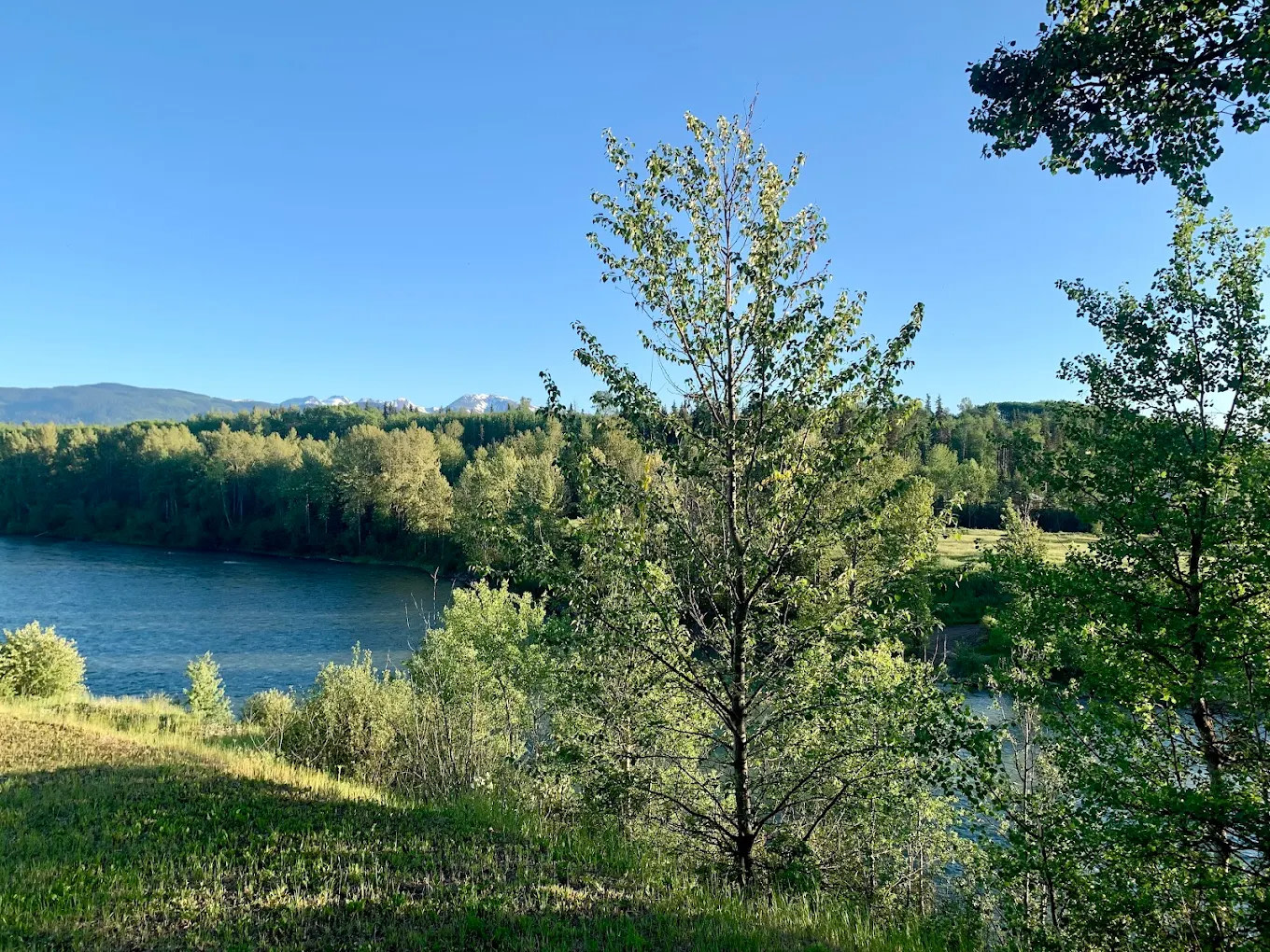 Harmony Ridge RV Park and Guesthouse