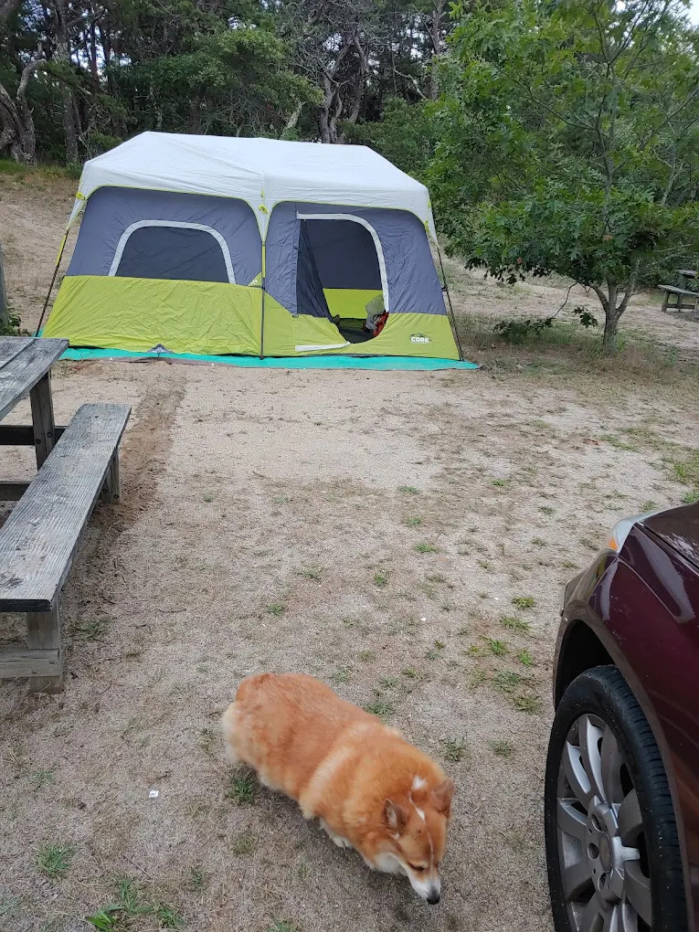 Adventure Bound Cape Cod North Truro Campground