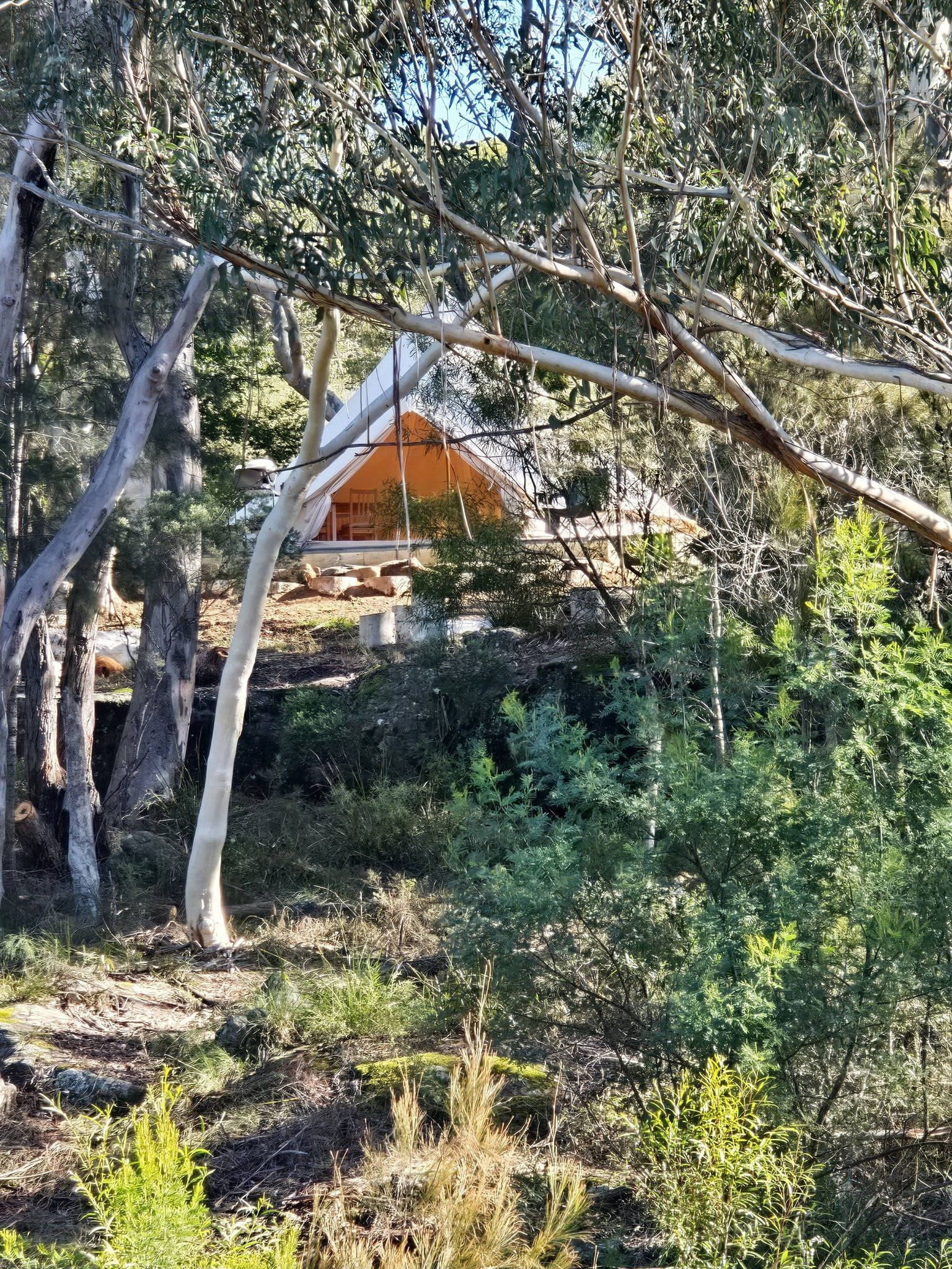 Rosewood Farm's Riverside Glamping