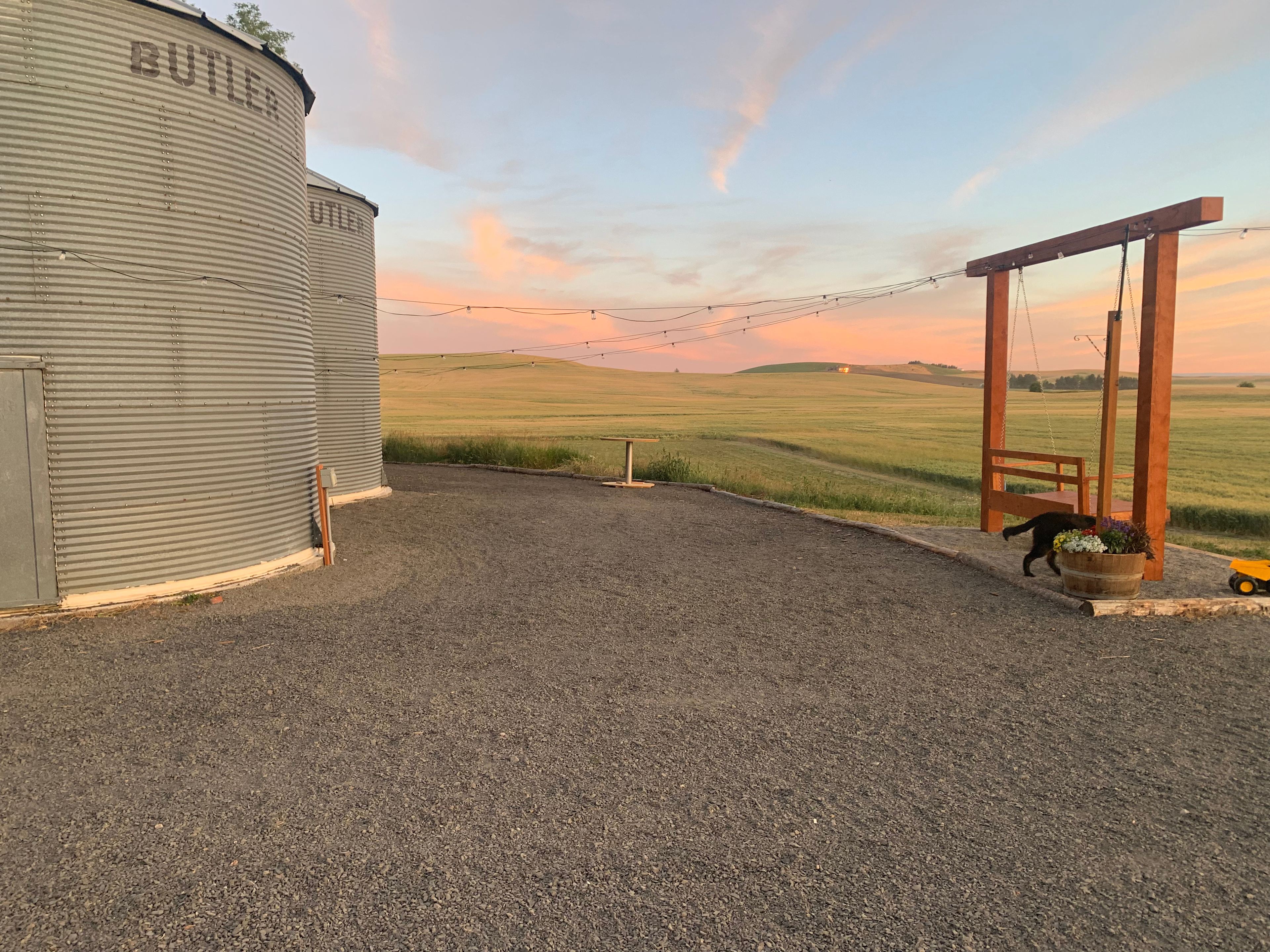 Wheat and Beans
