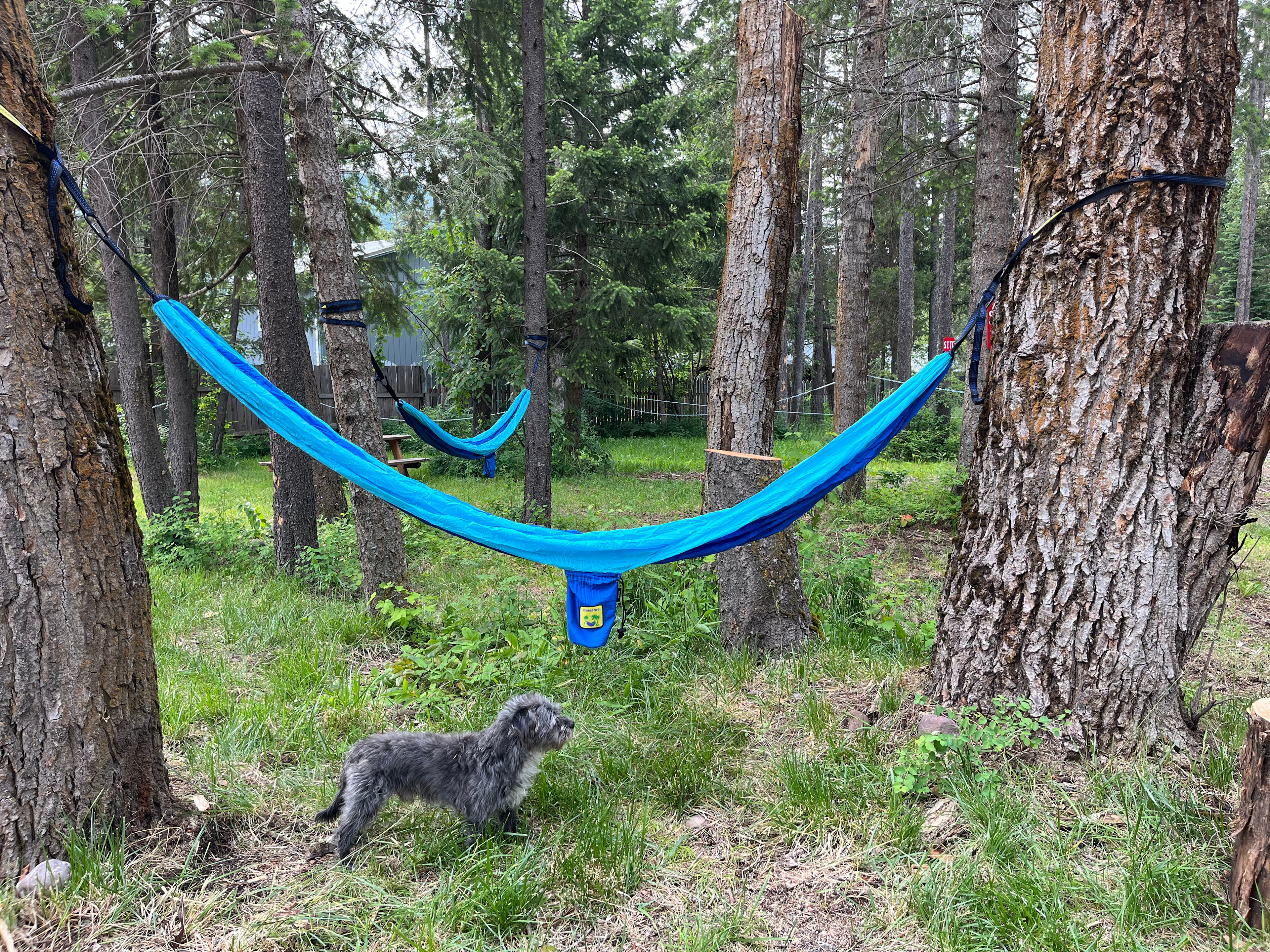 Hammocks set up between sites 2 and 3. All are welcome to use ours already there or put up their own! 