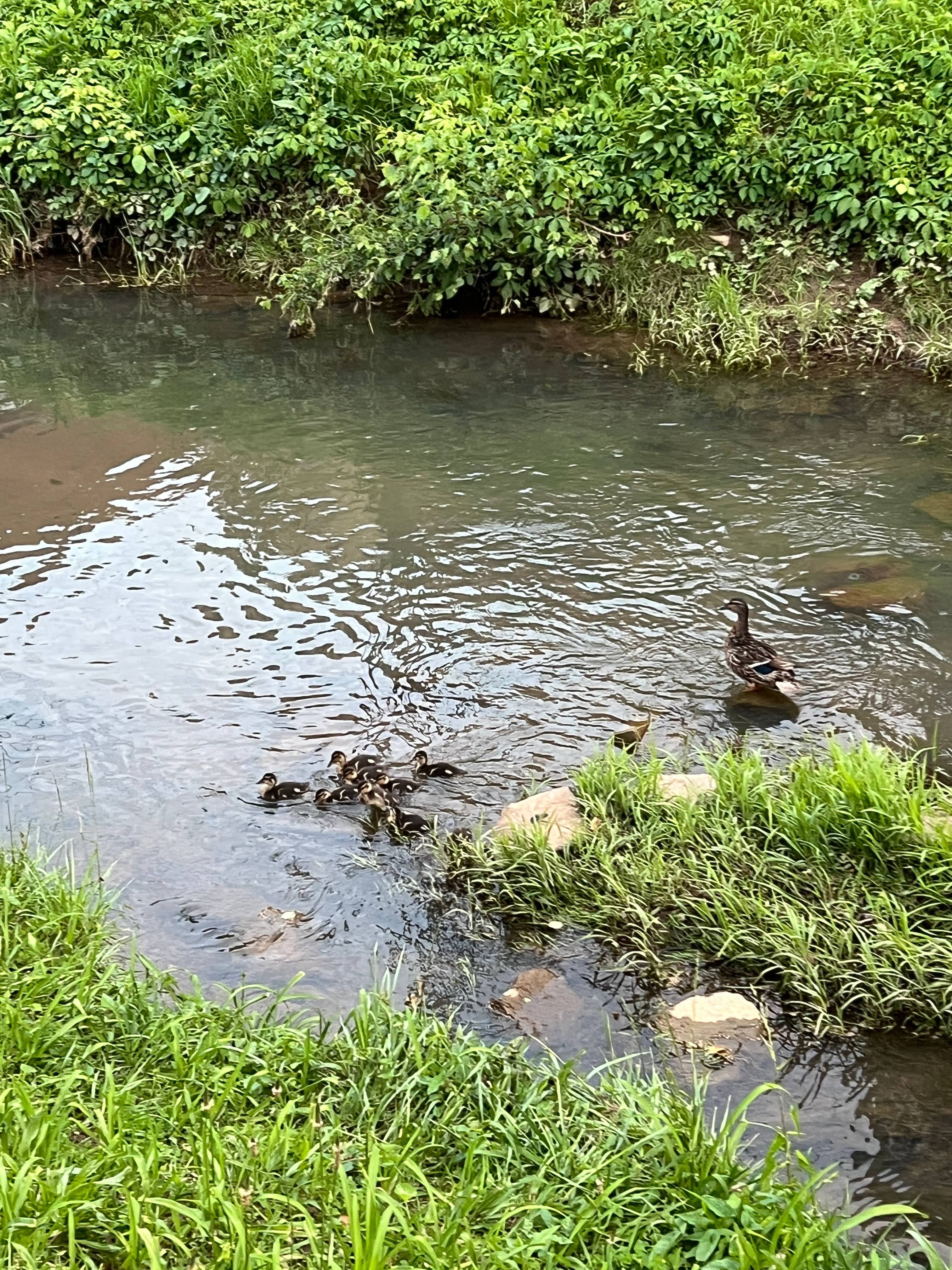 Daisy’s Farm and Campground