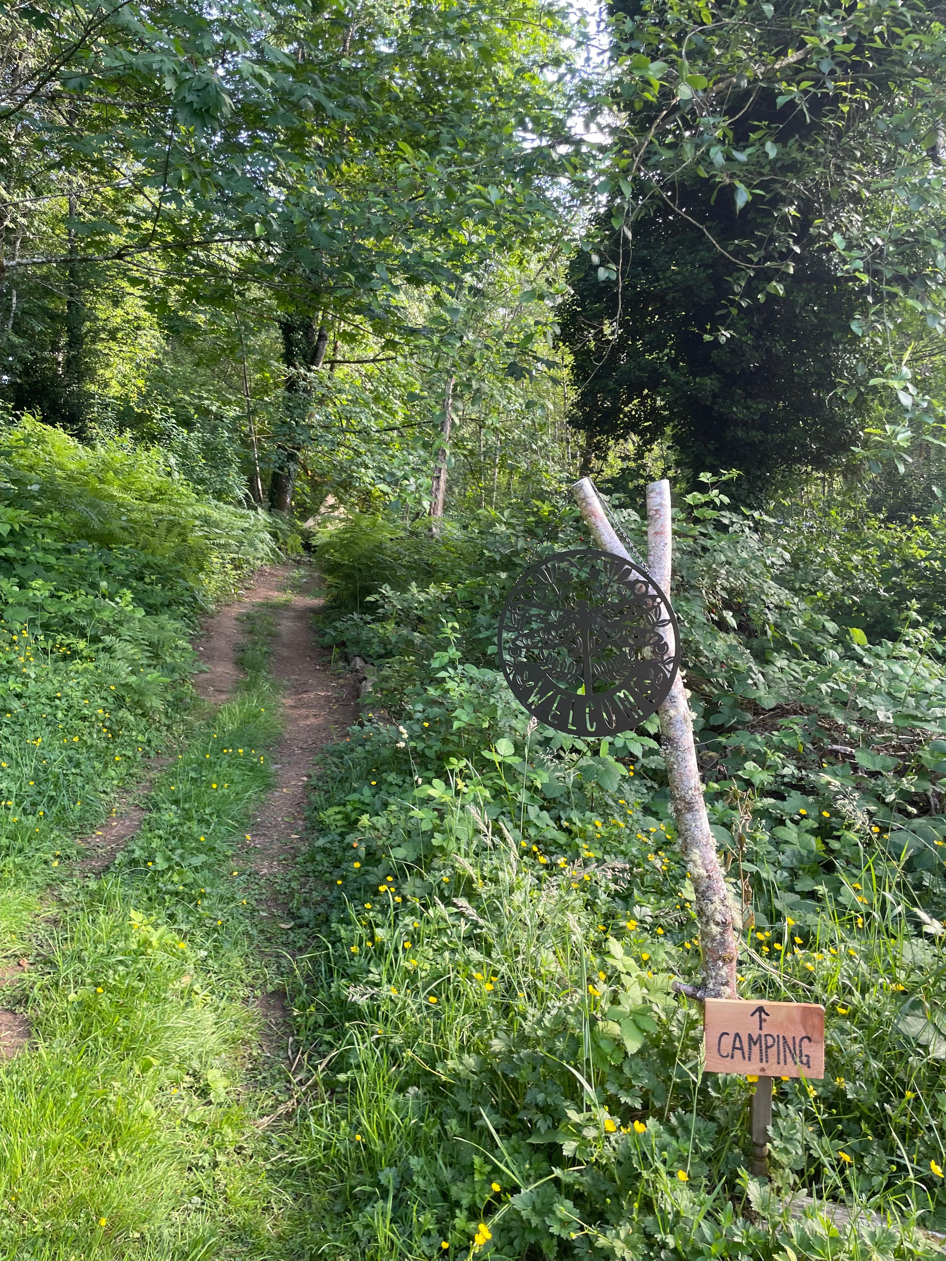 Bumbleberry Woods Camp