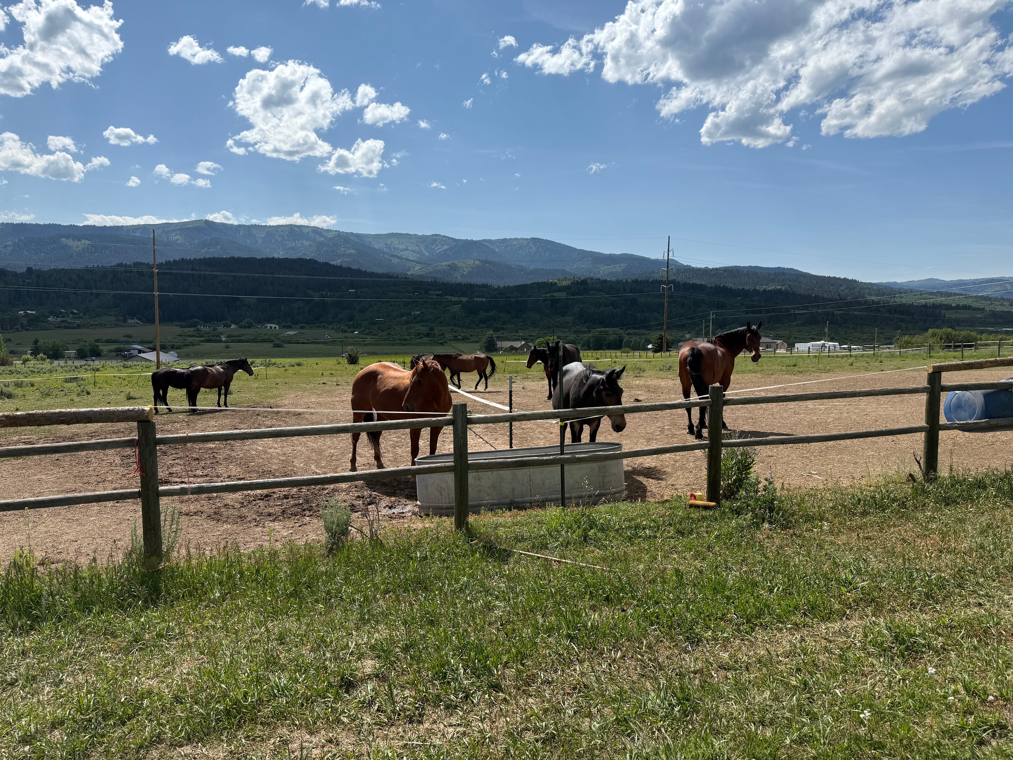 These cuties stole our hearts 