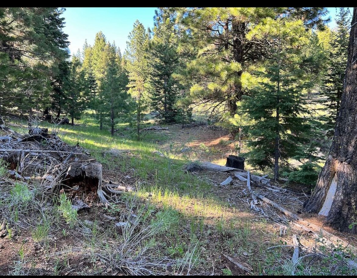 Sun Up Run Up Ranch