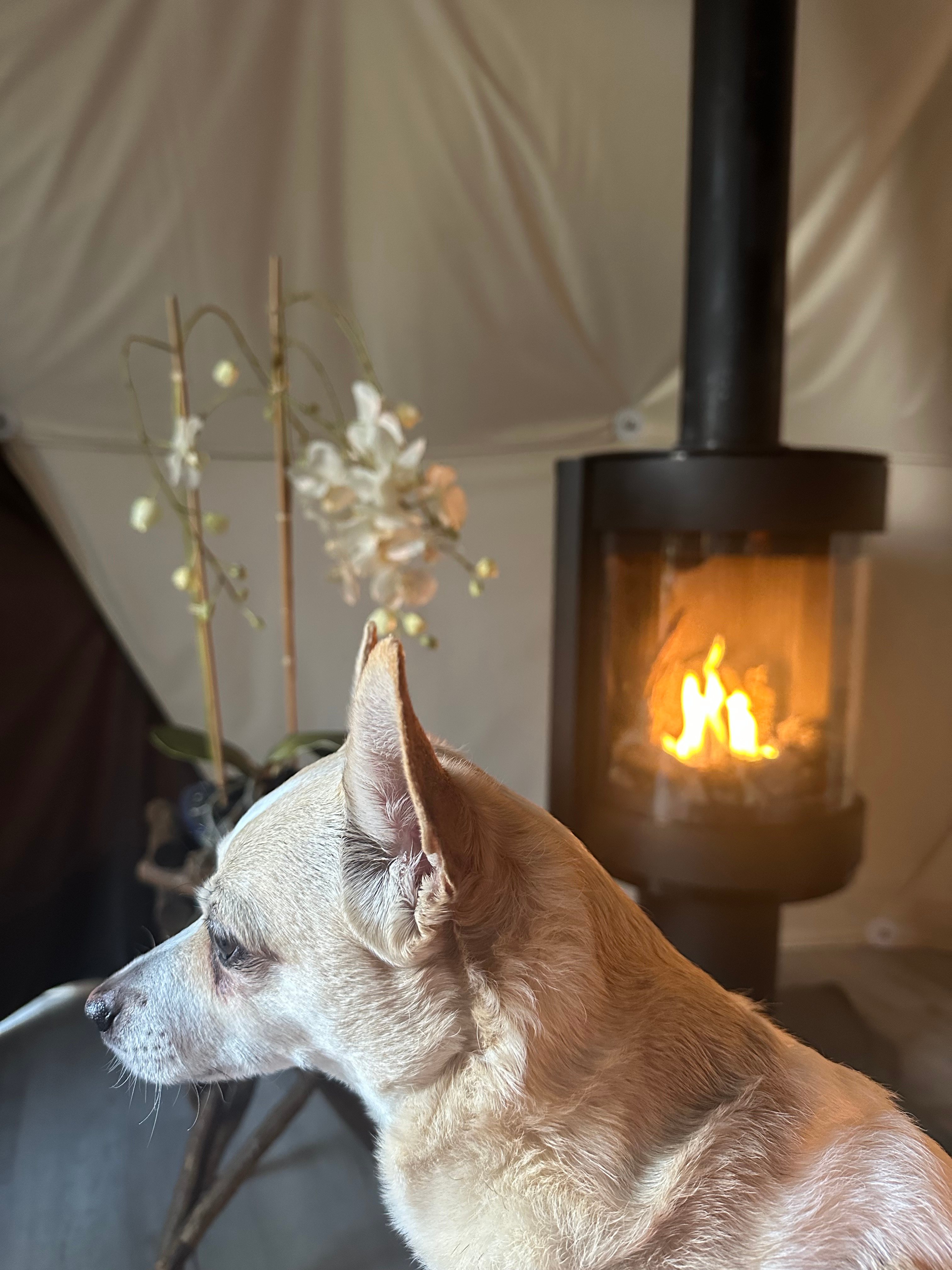 The Domes At Catskills