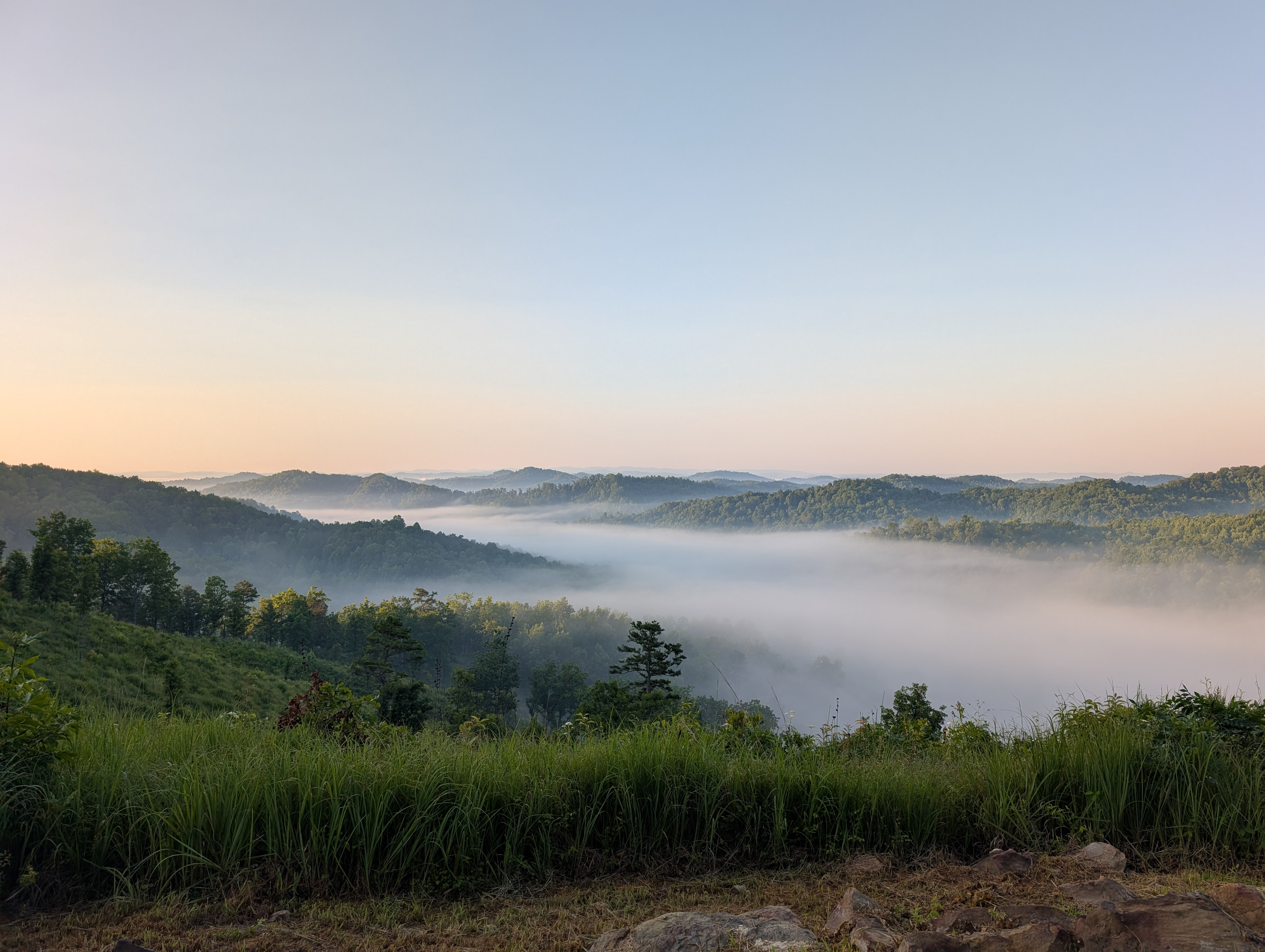 Gray Hills
