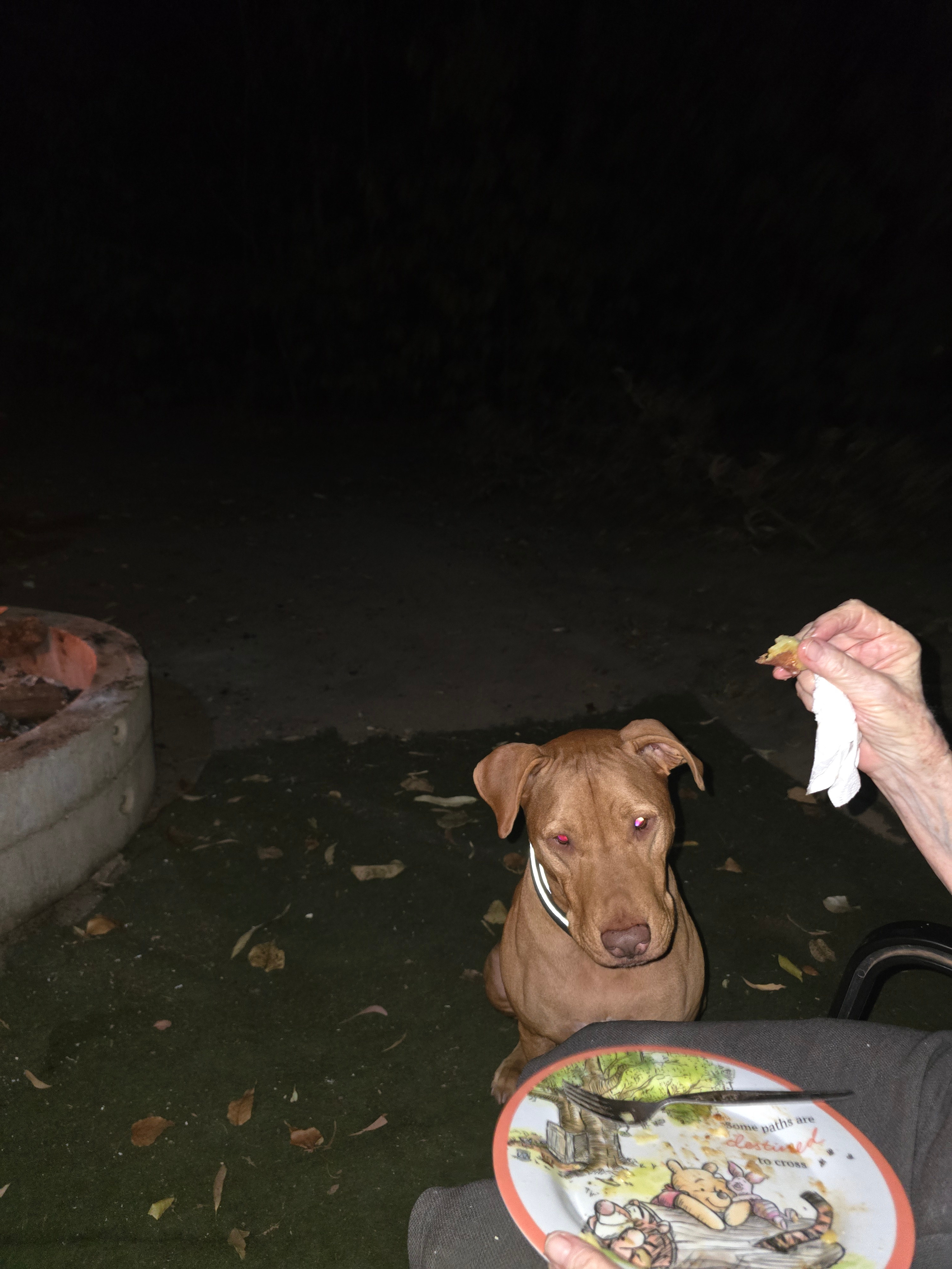 Dinner time