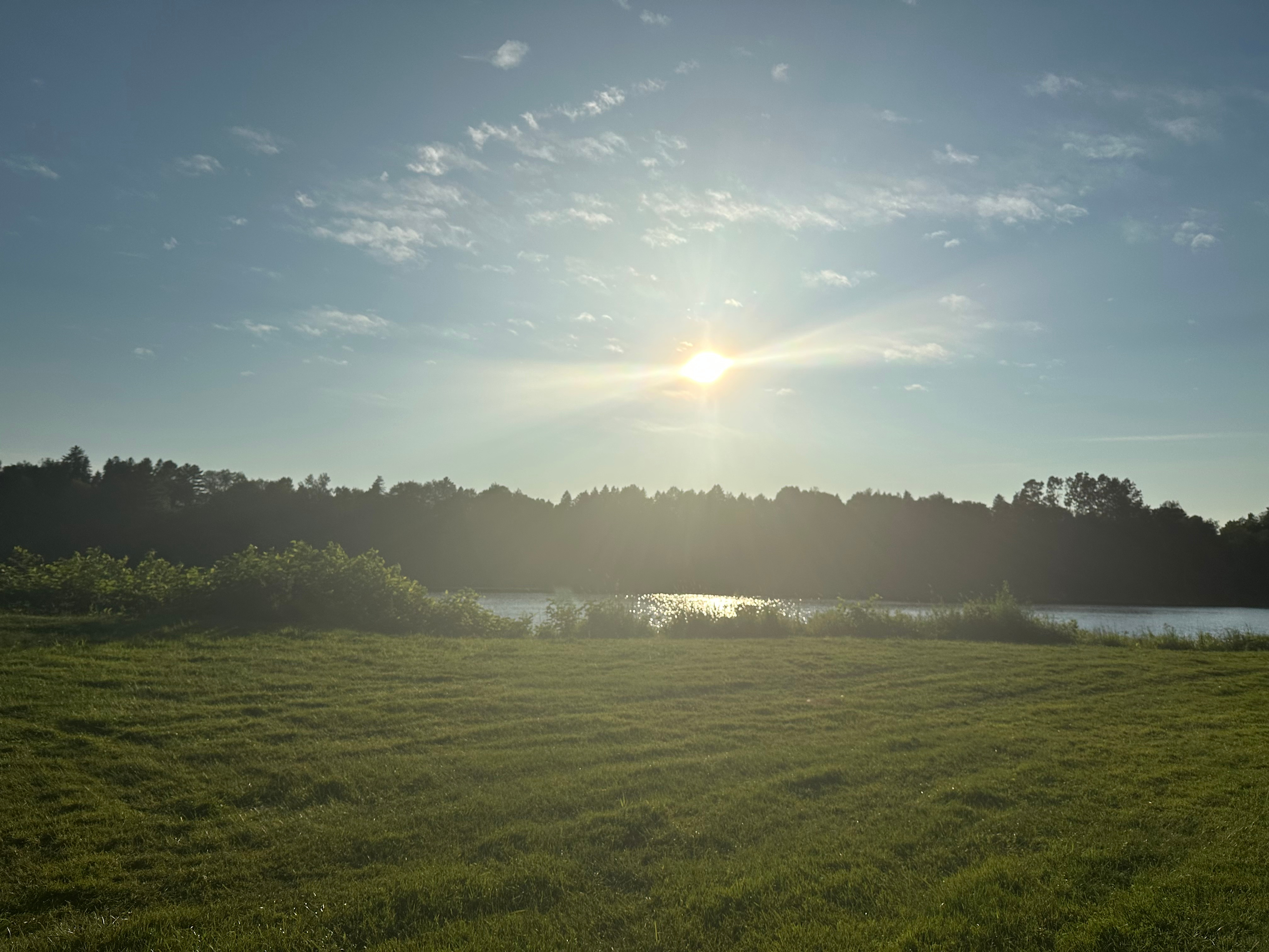 Au Petit Chat de la Riviere