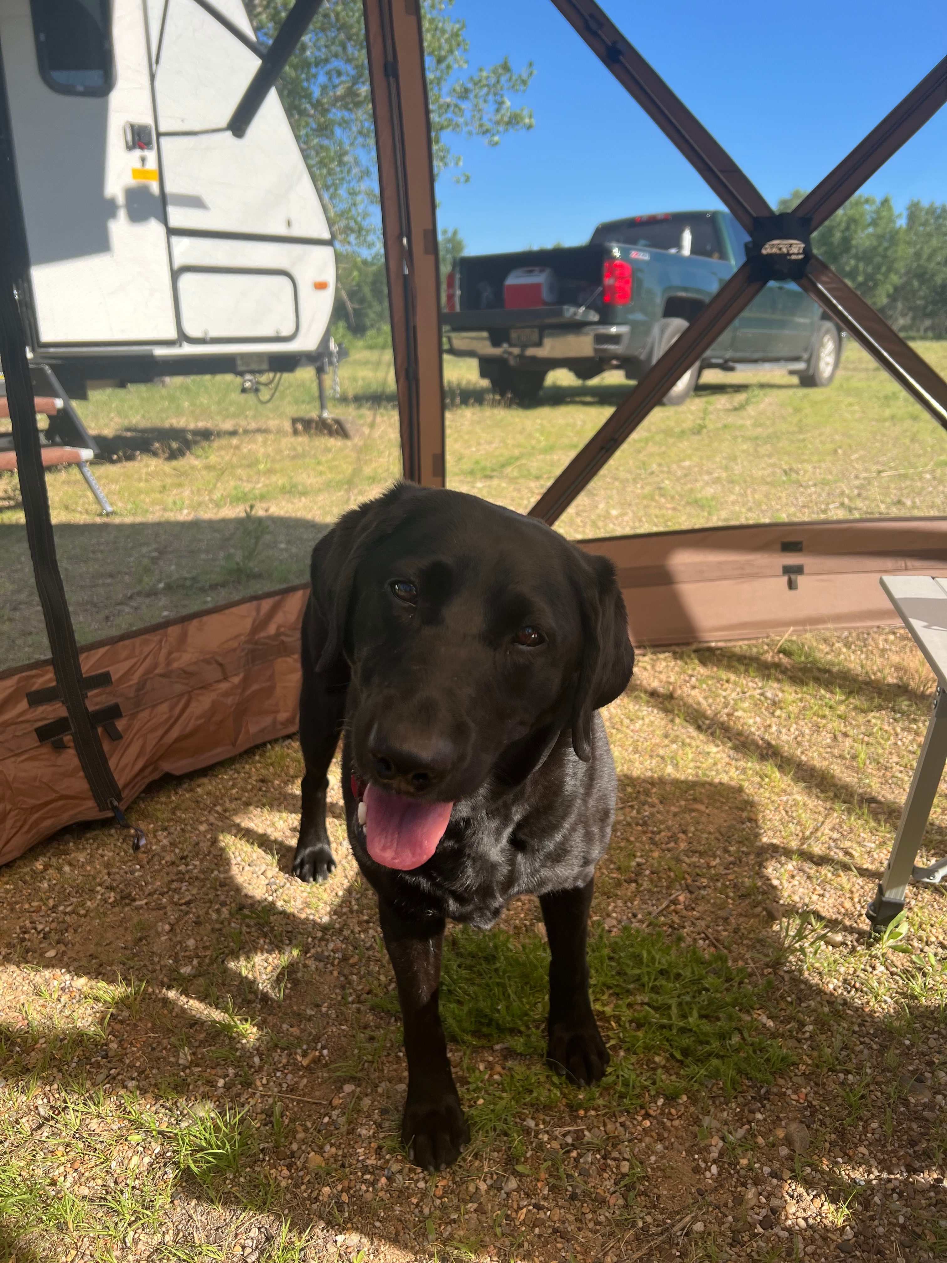 Cheyenne River Bottom