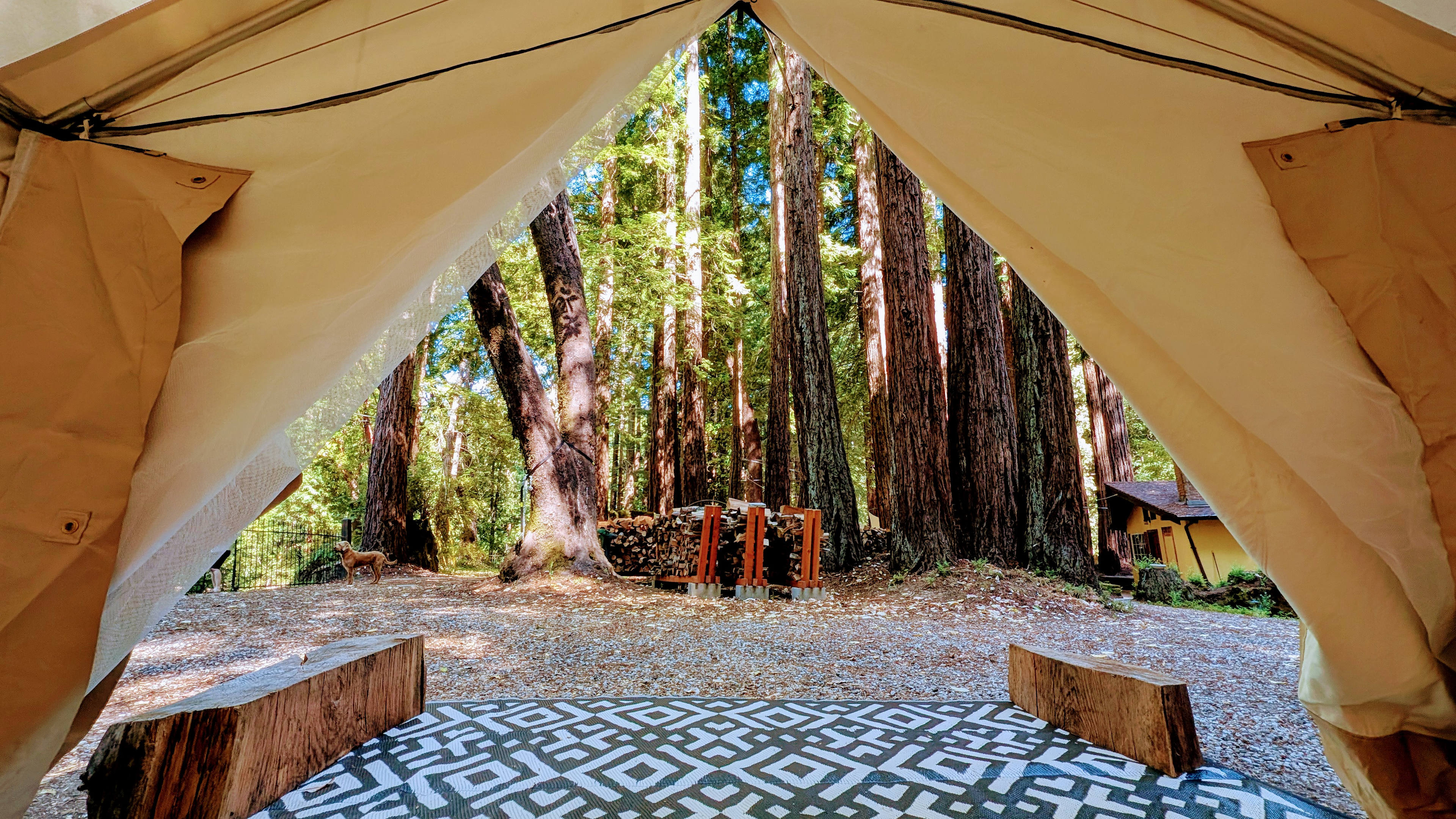 Big Basin Creekside Tents