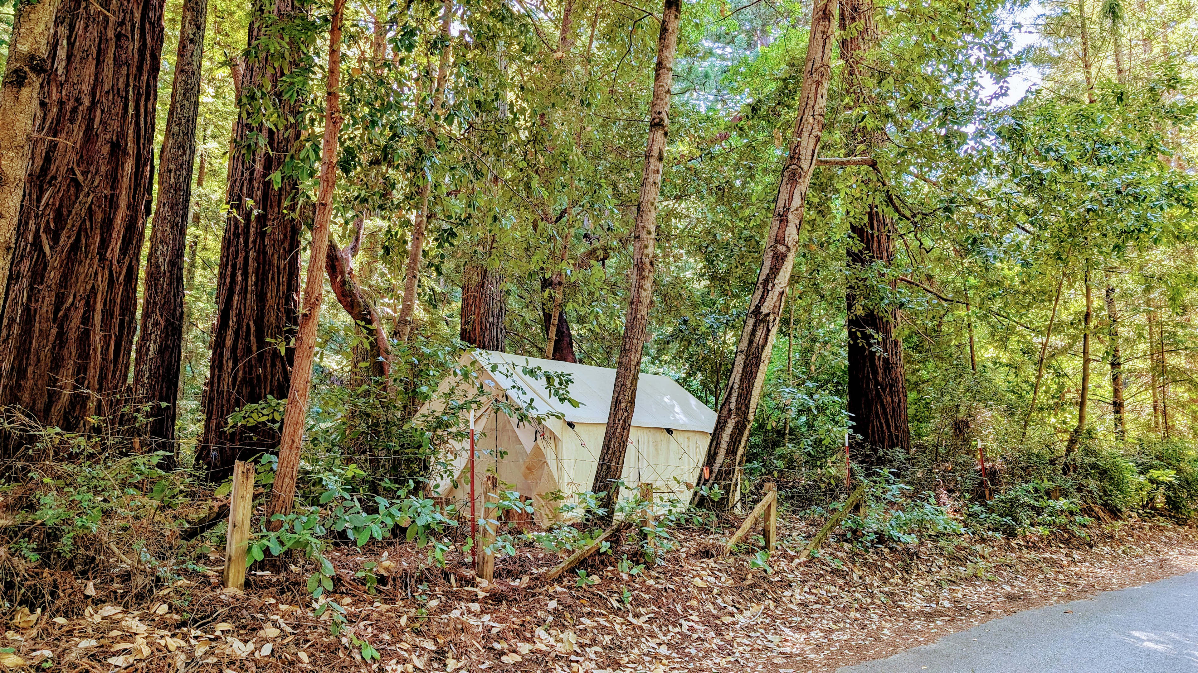 Big Basin Creekside Tents