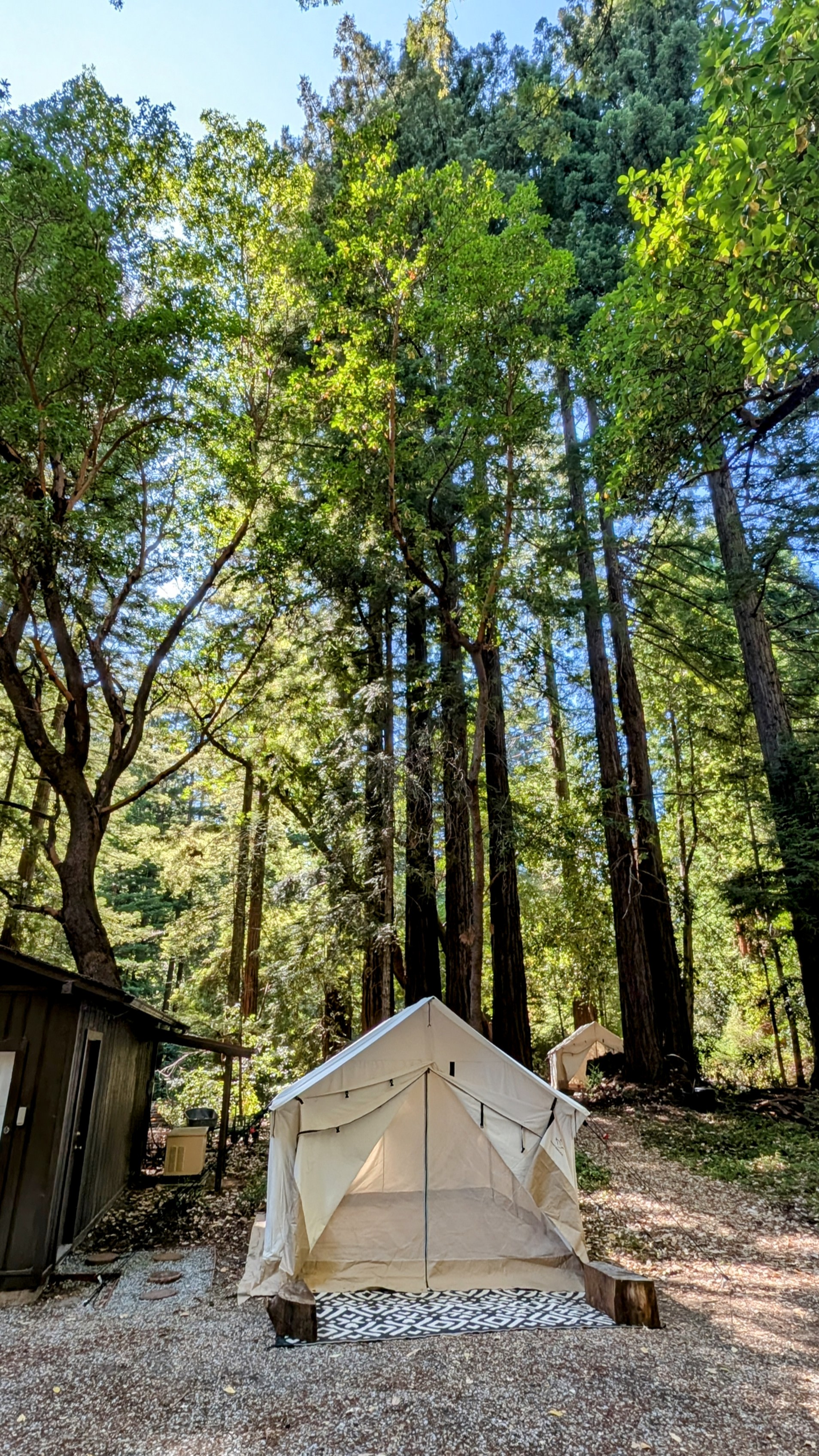 Big Basin Creekside Tents