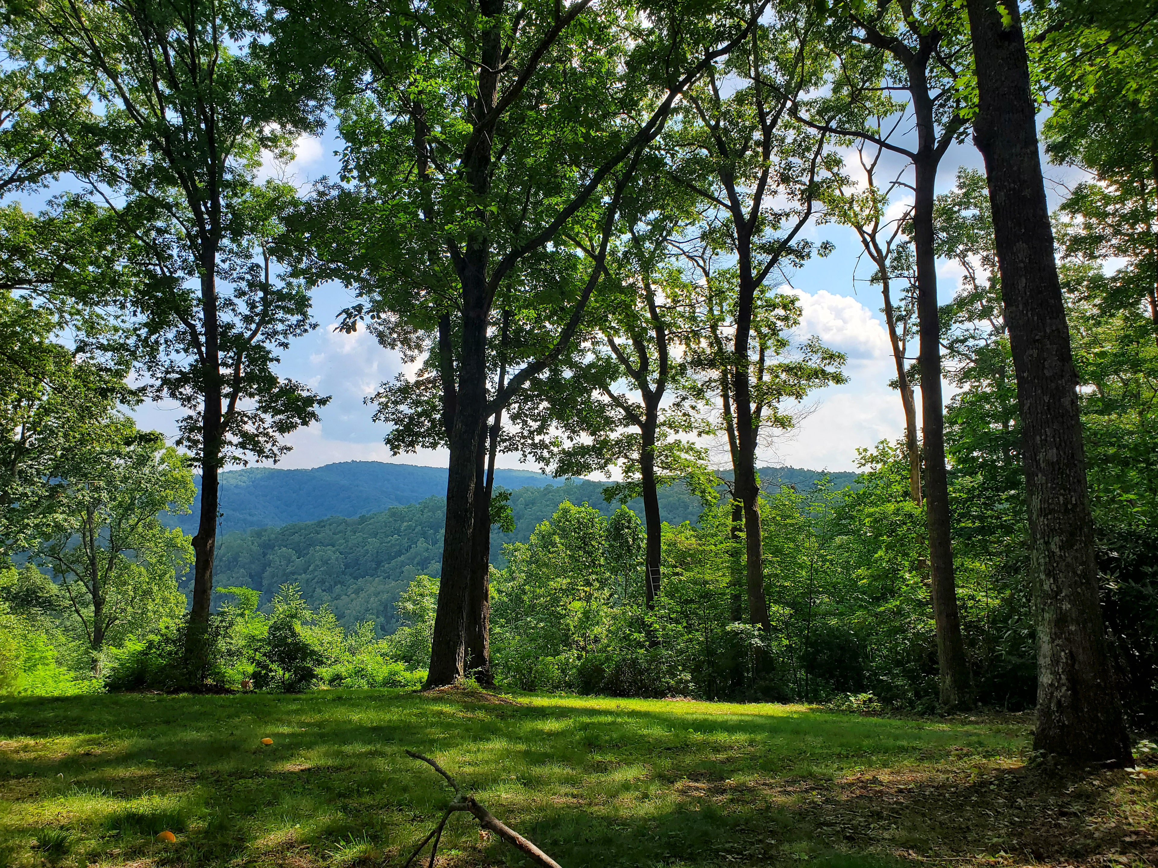 24 On The Mountain