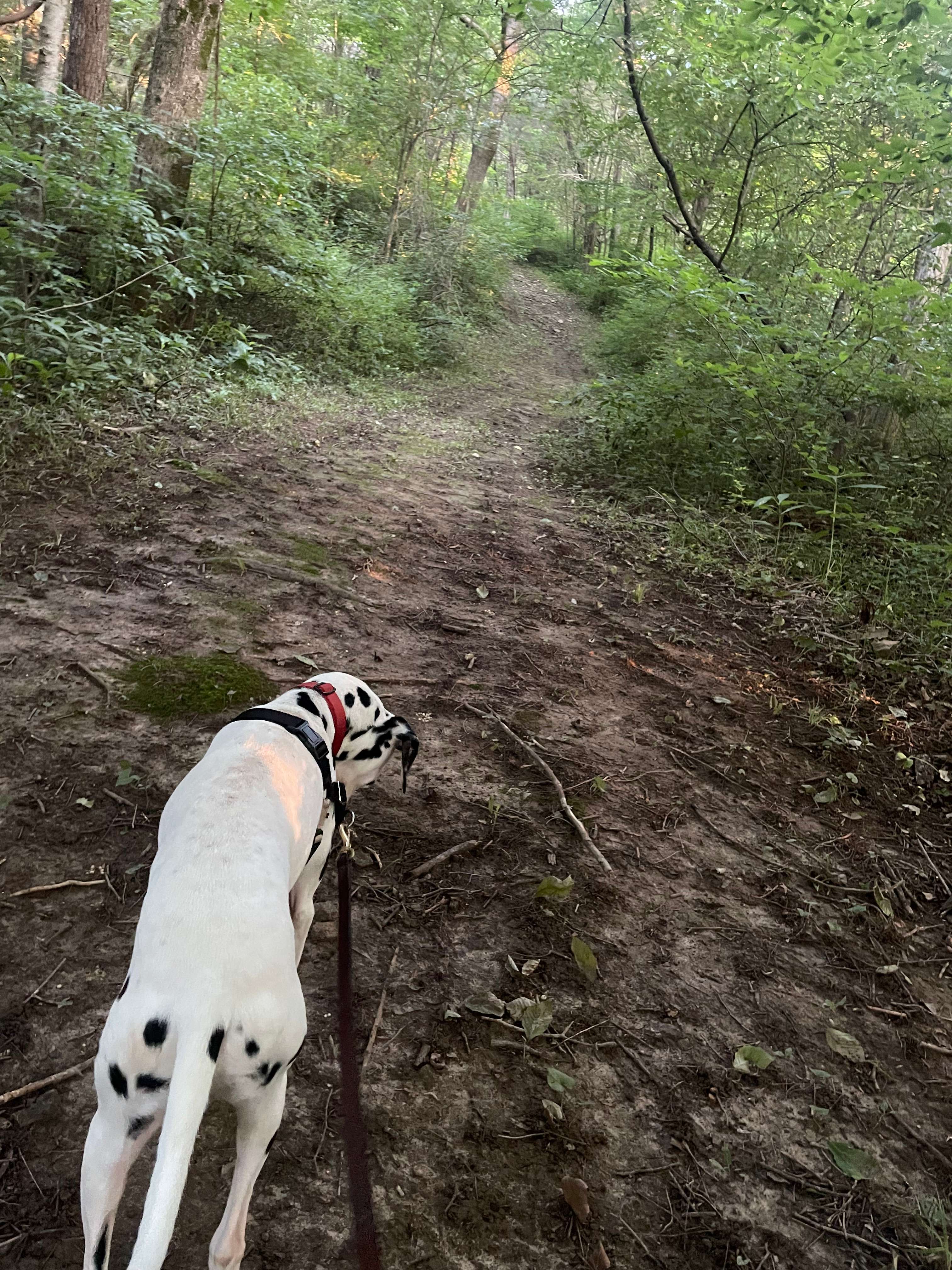 Buck Creek Sanctuary