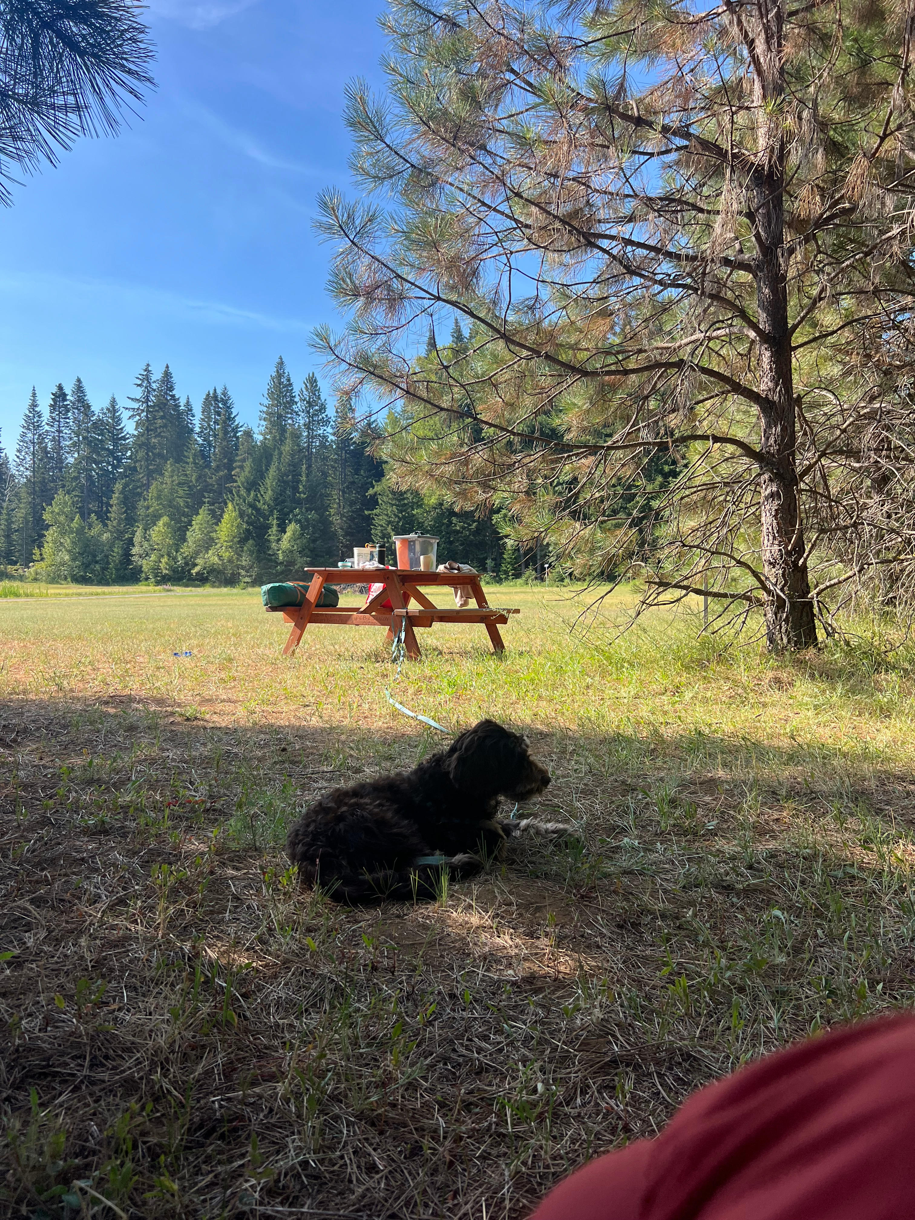 Lake Sena Campground at Circle 8 Ranch