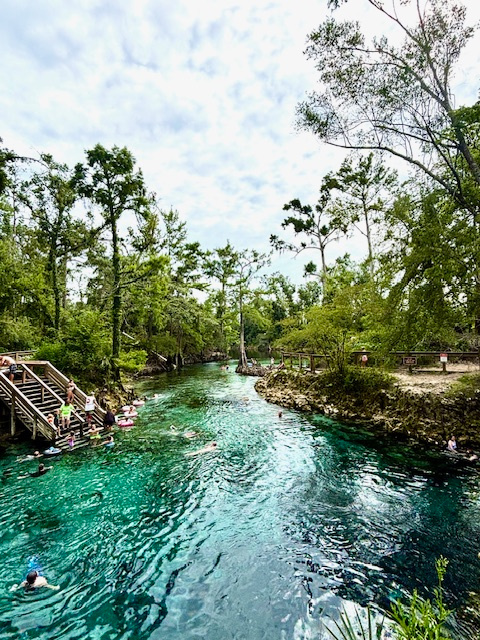 Madison Blue Spring State Park - only 20 minutes away