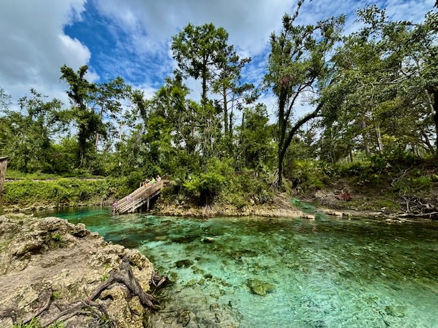 Madison Blue Spring State Park - only 20 minutes away