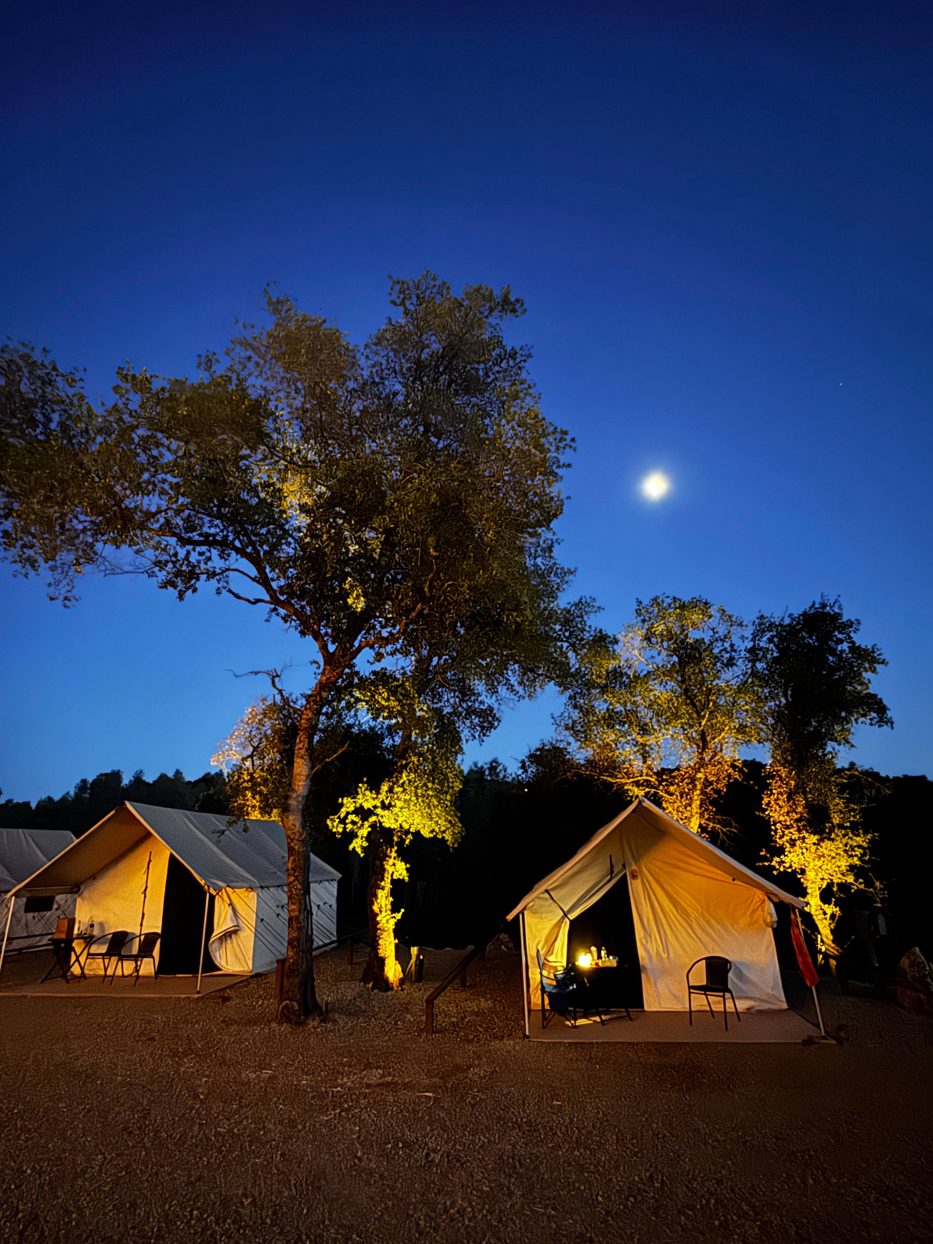 Moonshadow Flat Glamping Tents