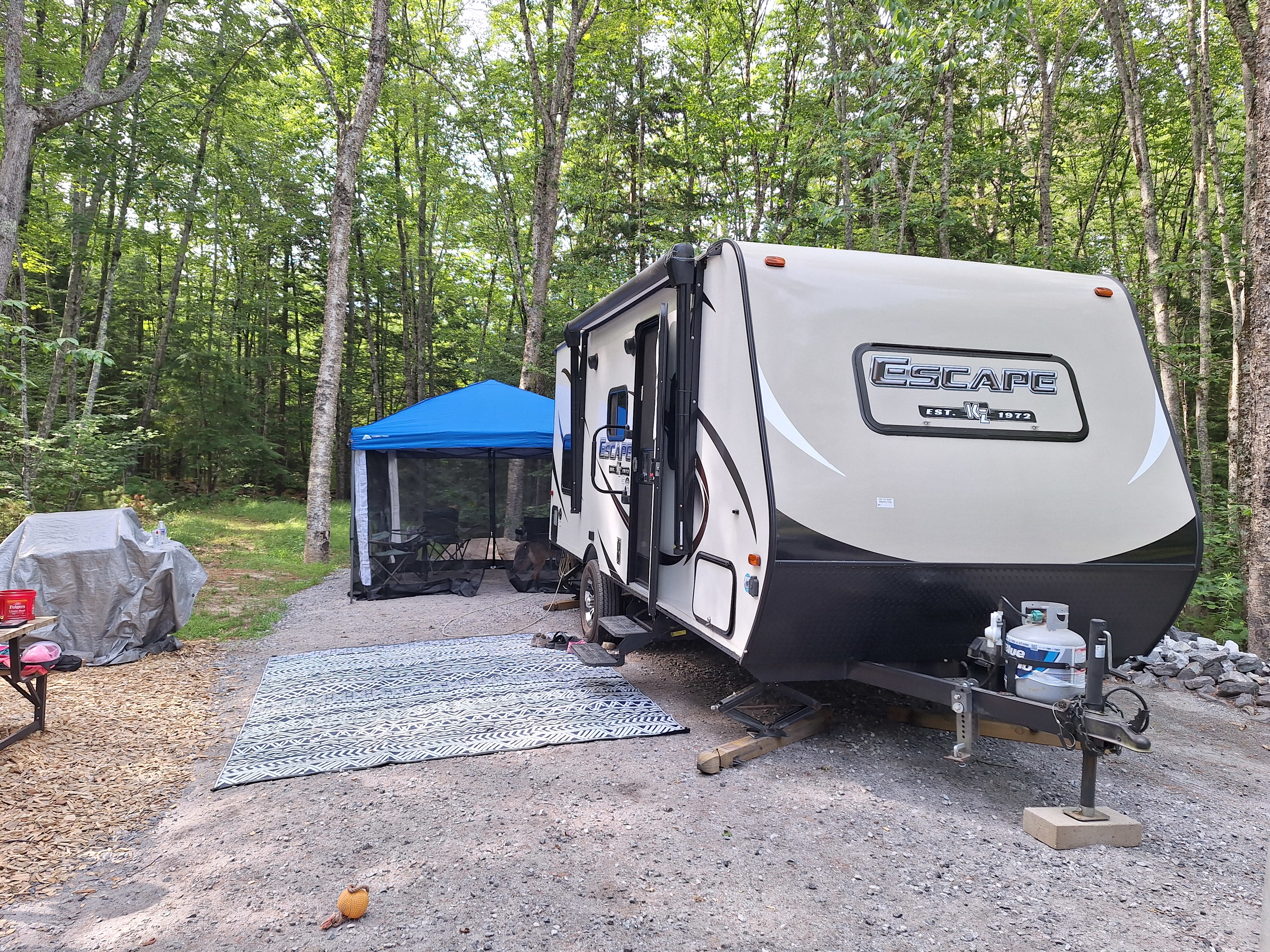 The Queen's Property on Thomas Pond