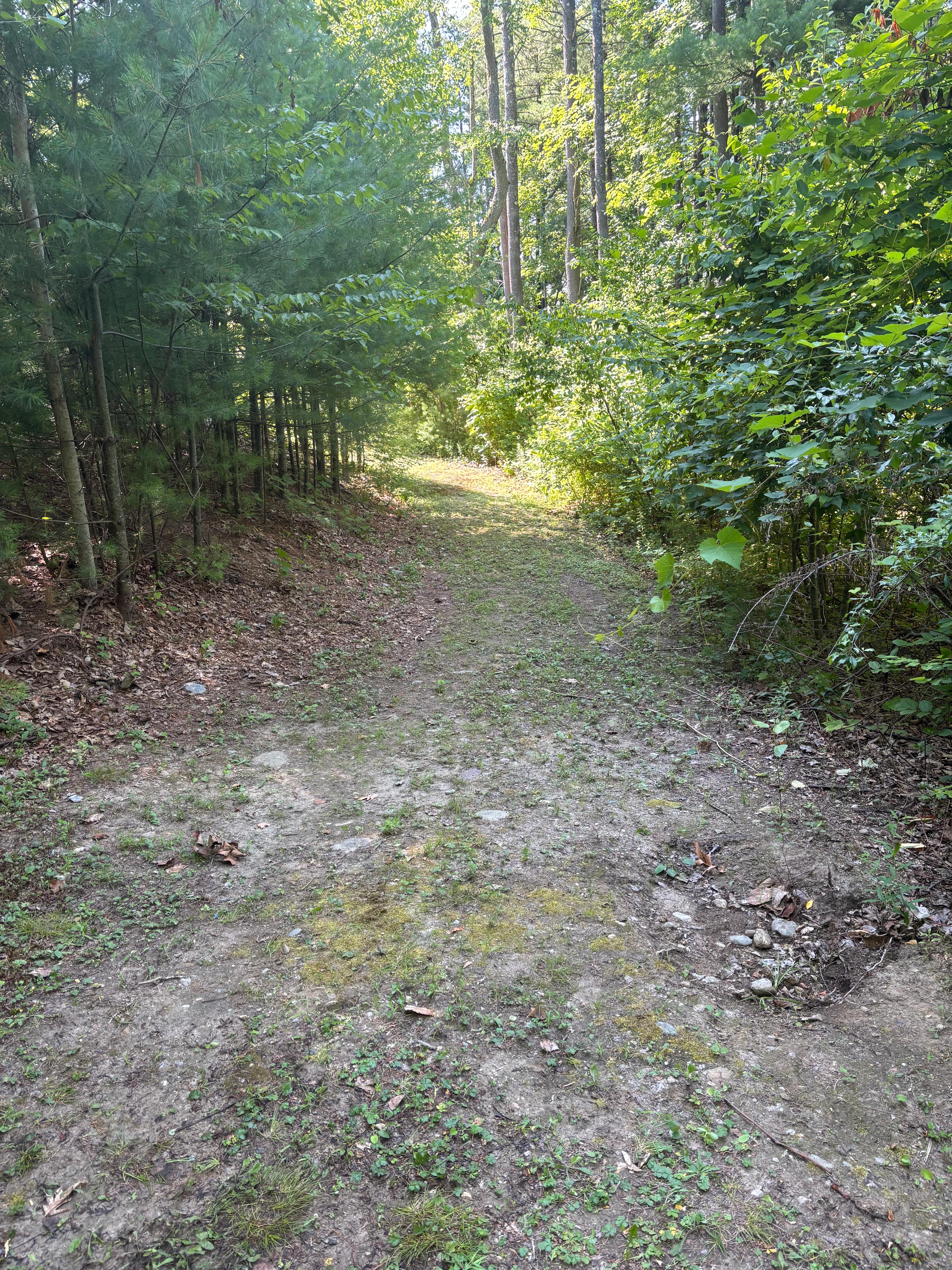 Hickory Heights Farm