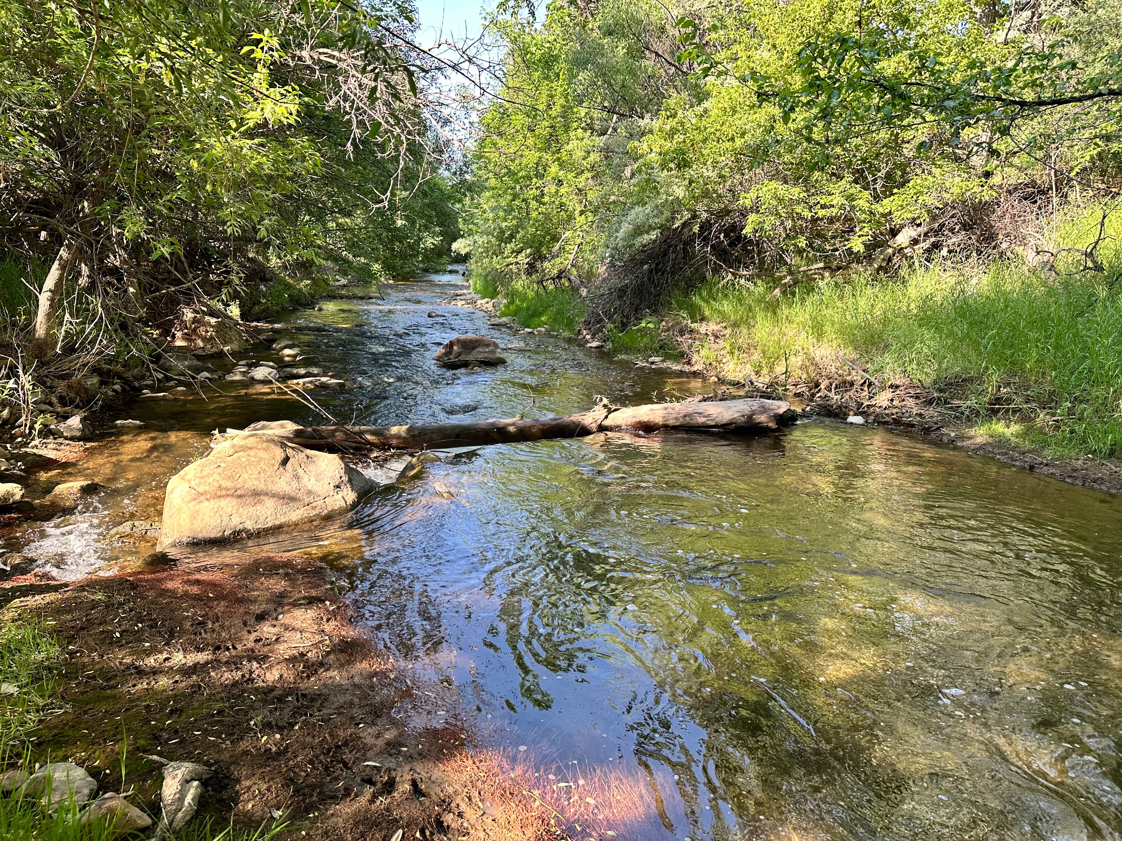 Creekside access, where it’s easy to keep cool in the heat of summer.
Whitewood Creek, while beautiful, must be used with caution and respect. Since t