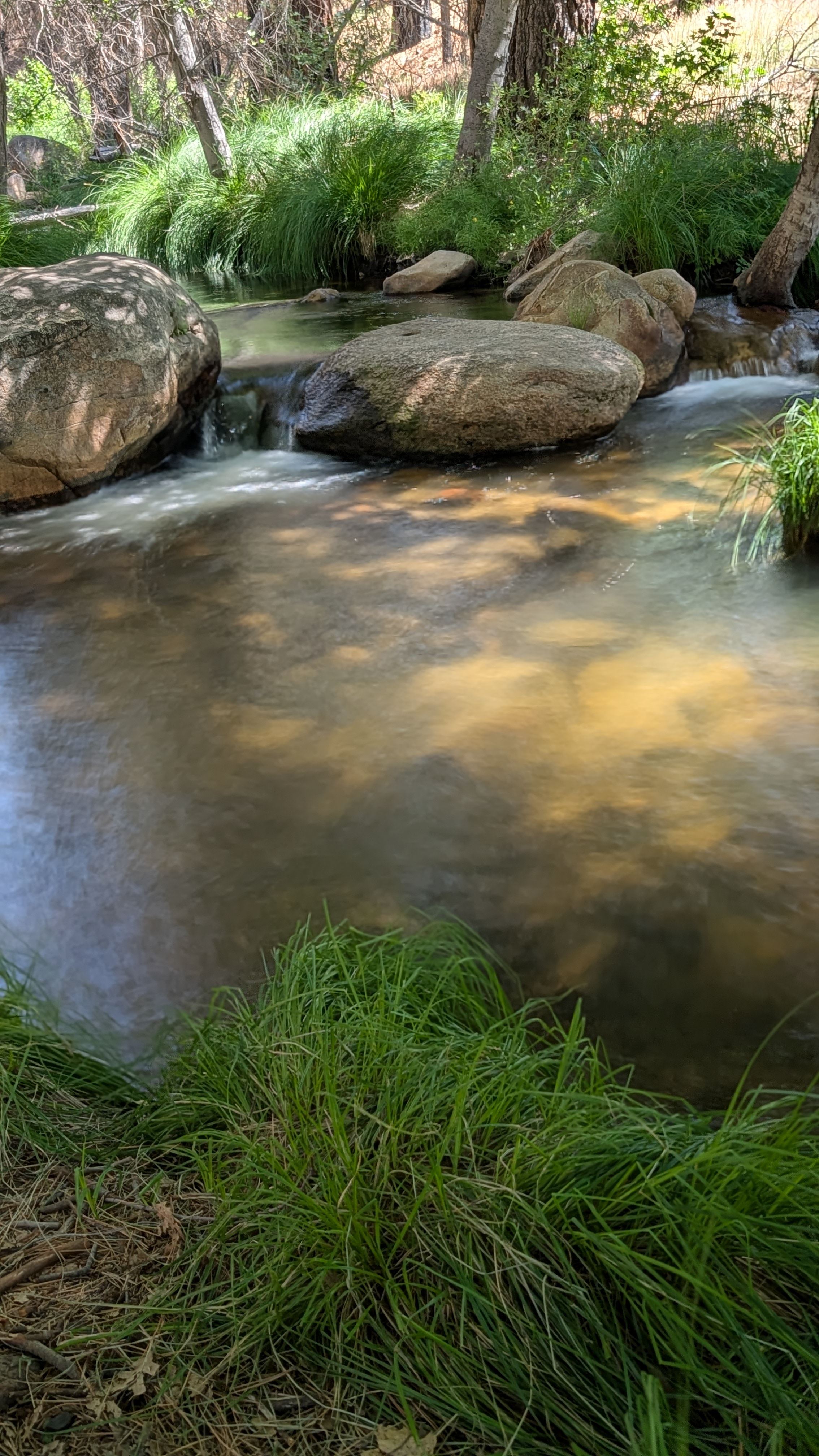 Peaceful Pines Place W/AC