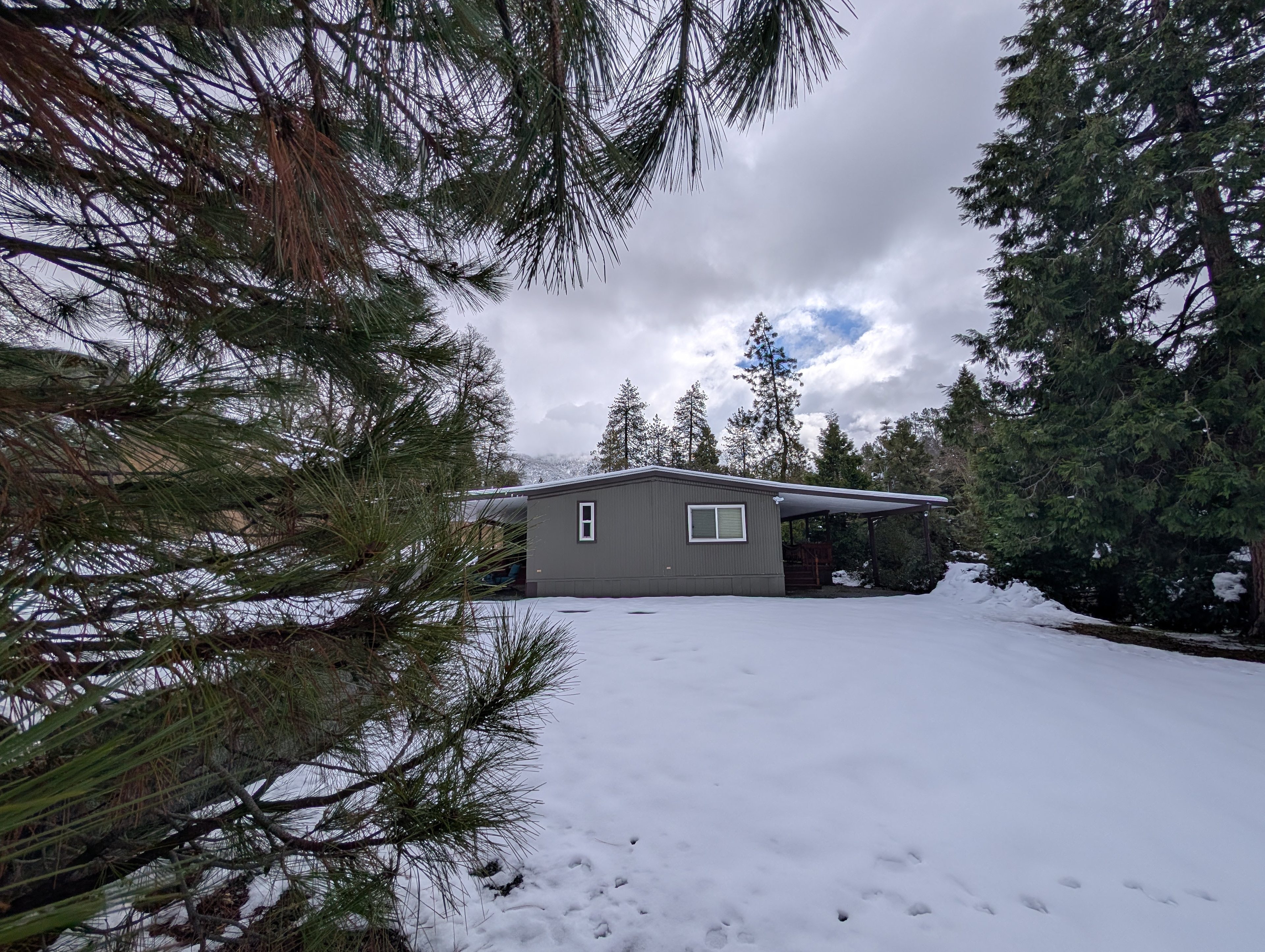 Peaceful Pines Place W/AC