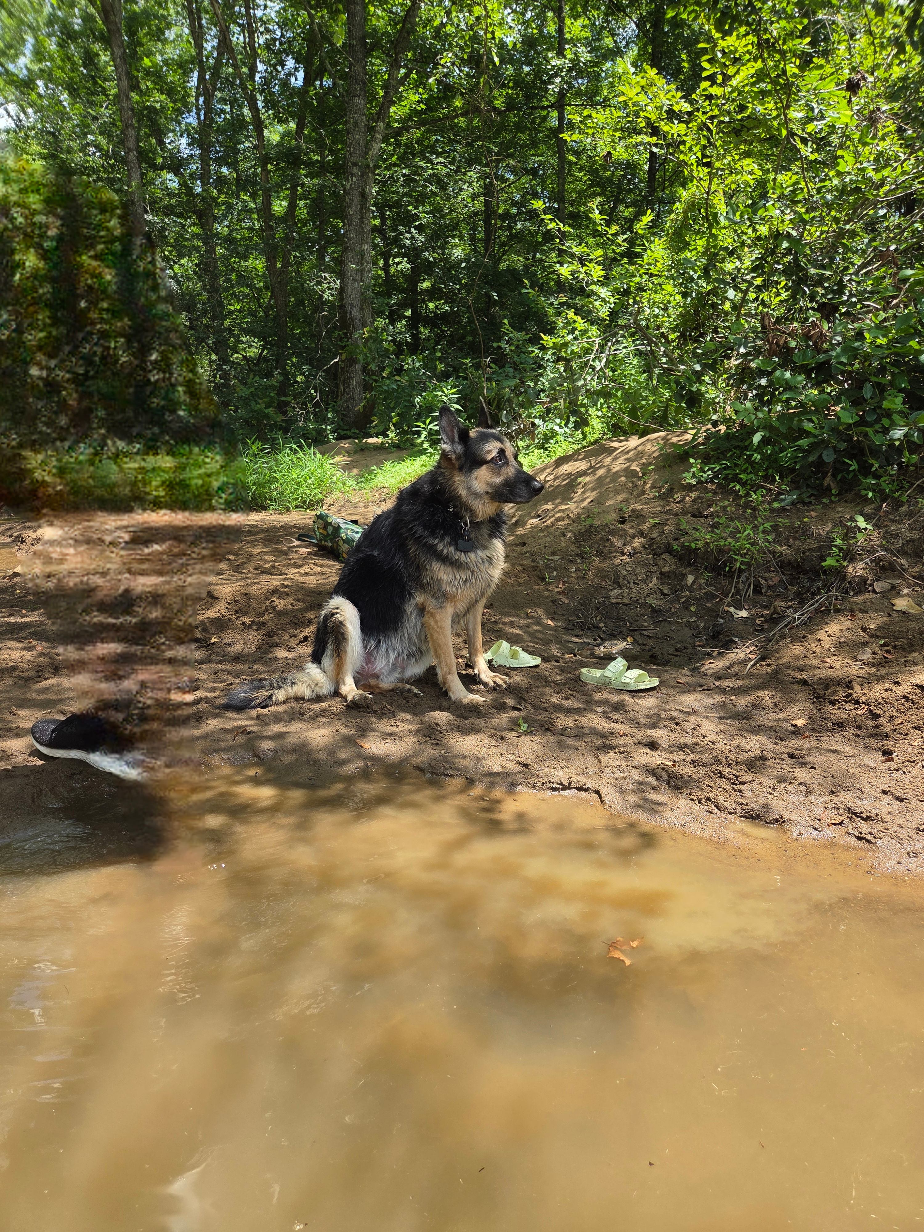 Little Mulberry Vacation Rentals