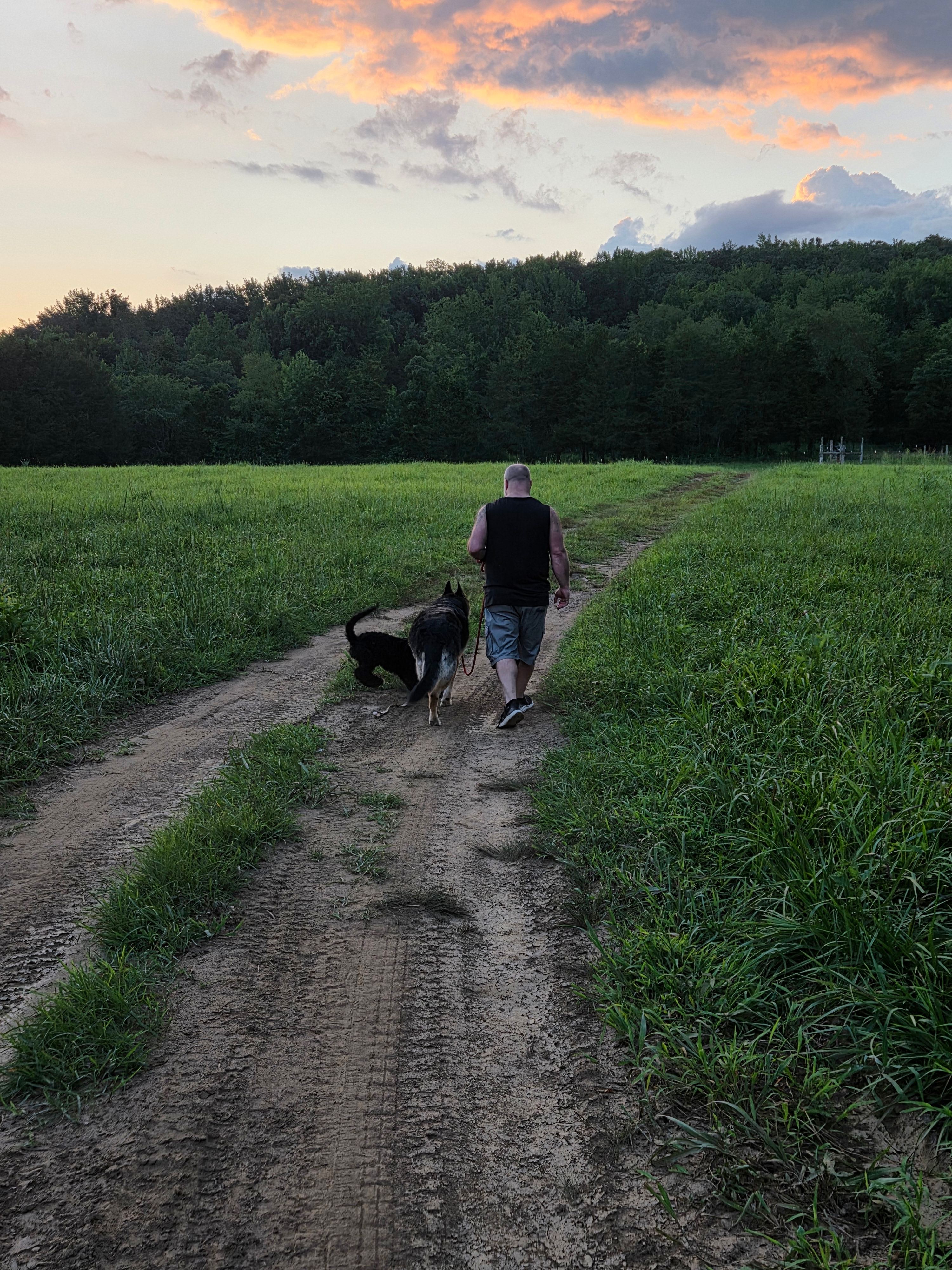 Little Mulberry Vacation Rentals