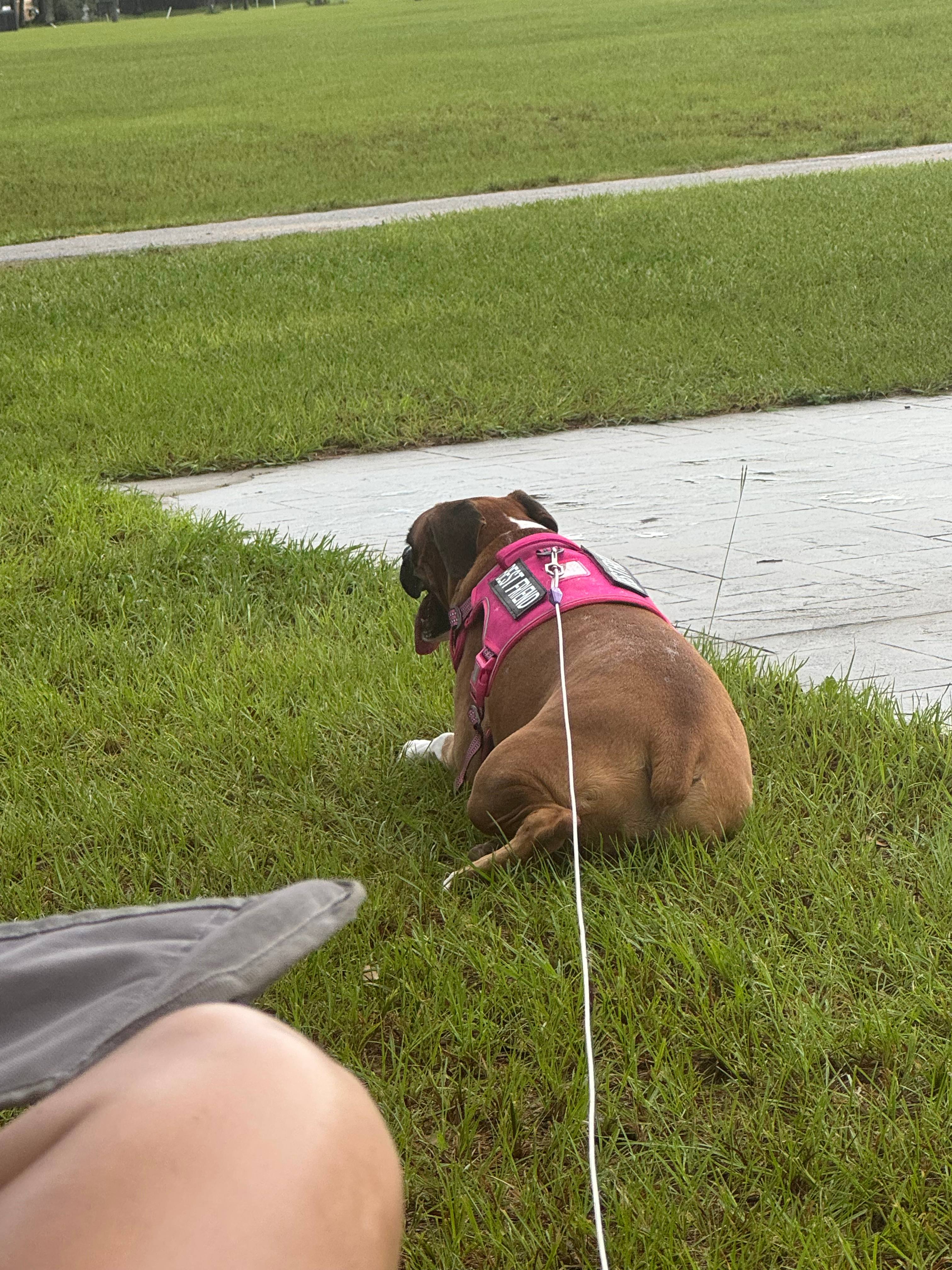 Ocala GranD Bluff View