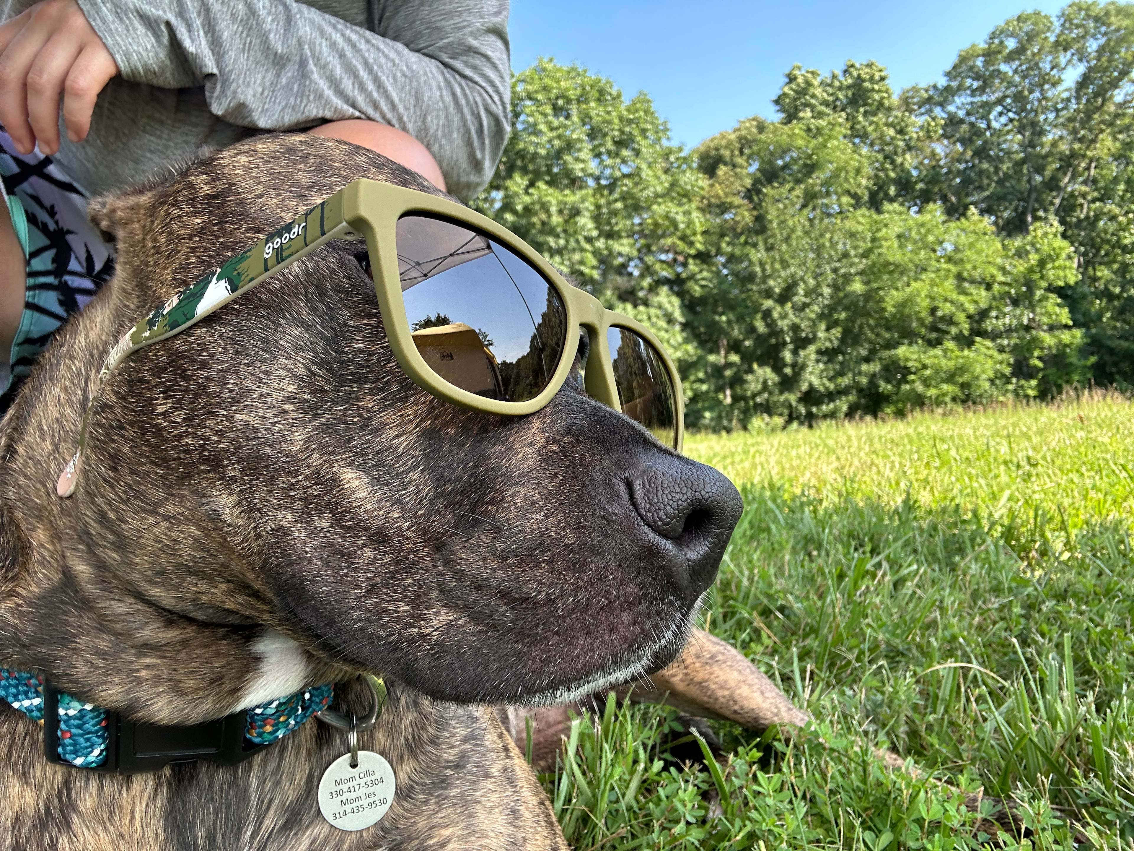 Katie’s new best friend