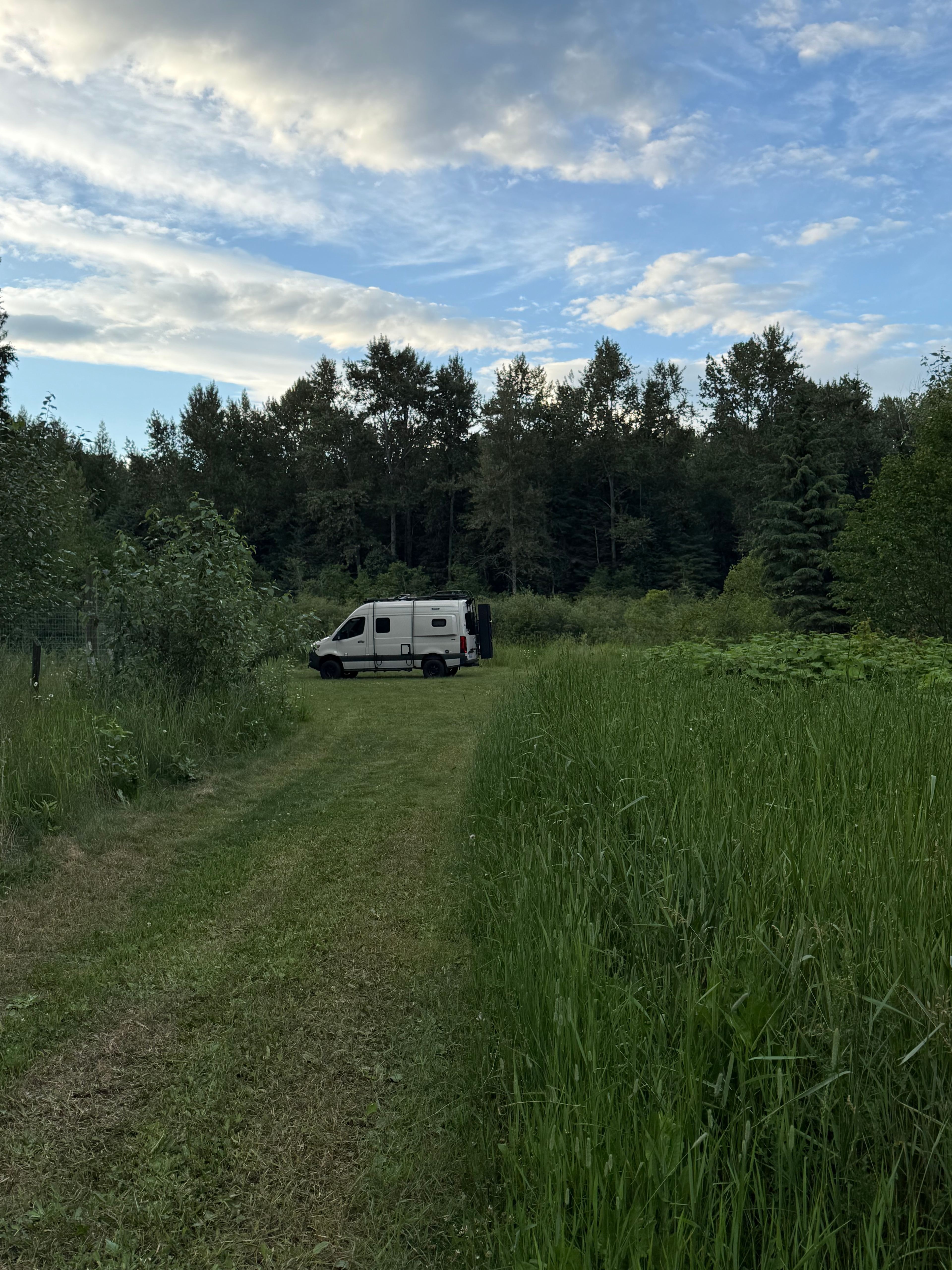 Laid Back Manor Farm