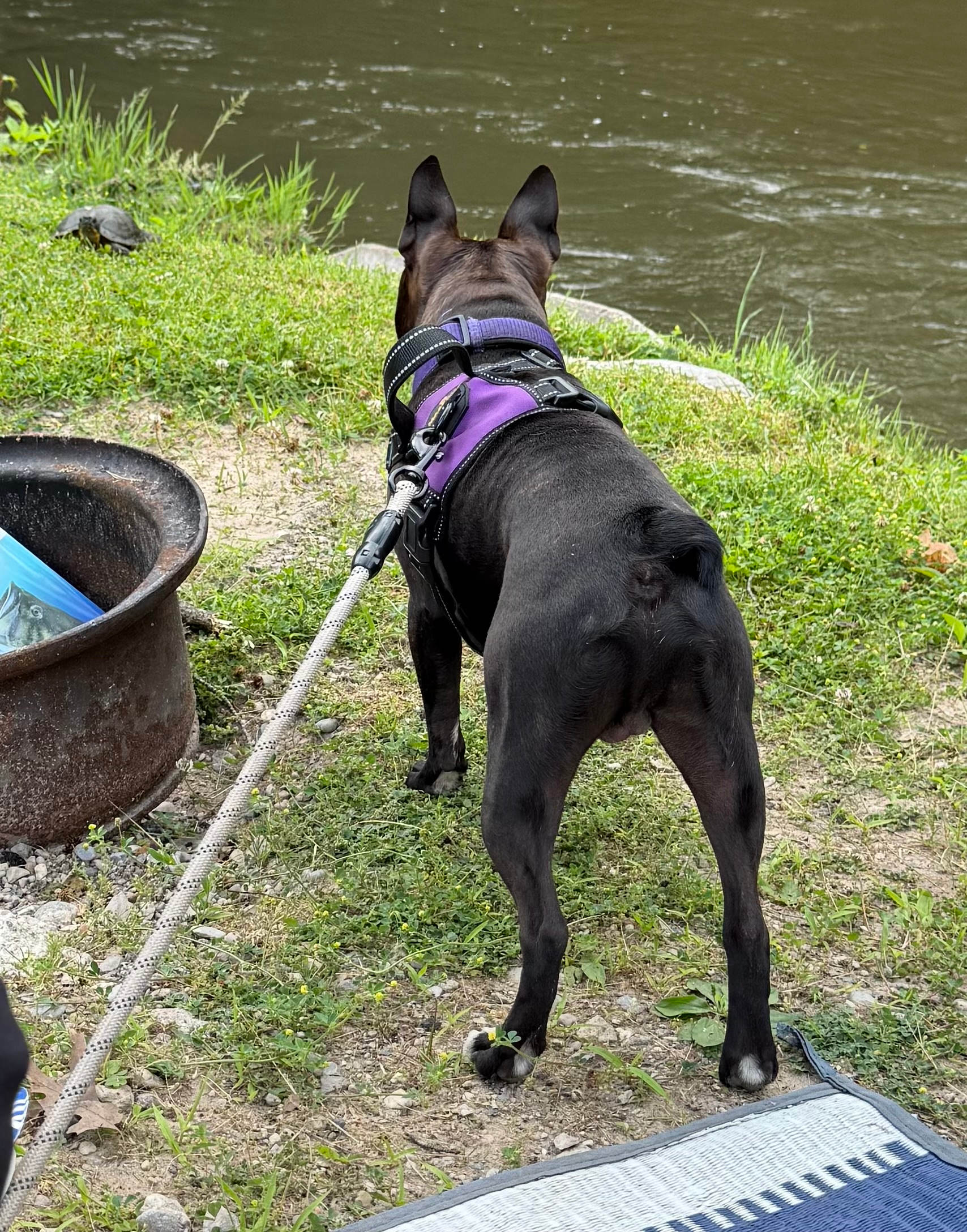 Winding River Campground