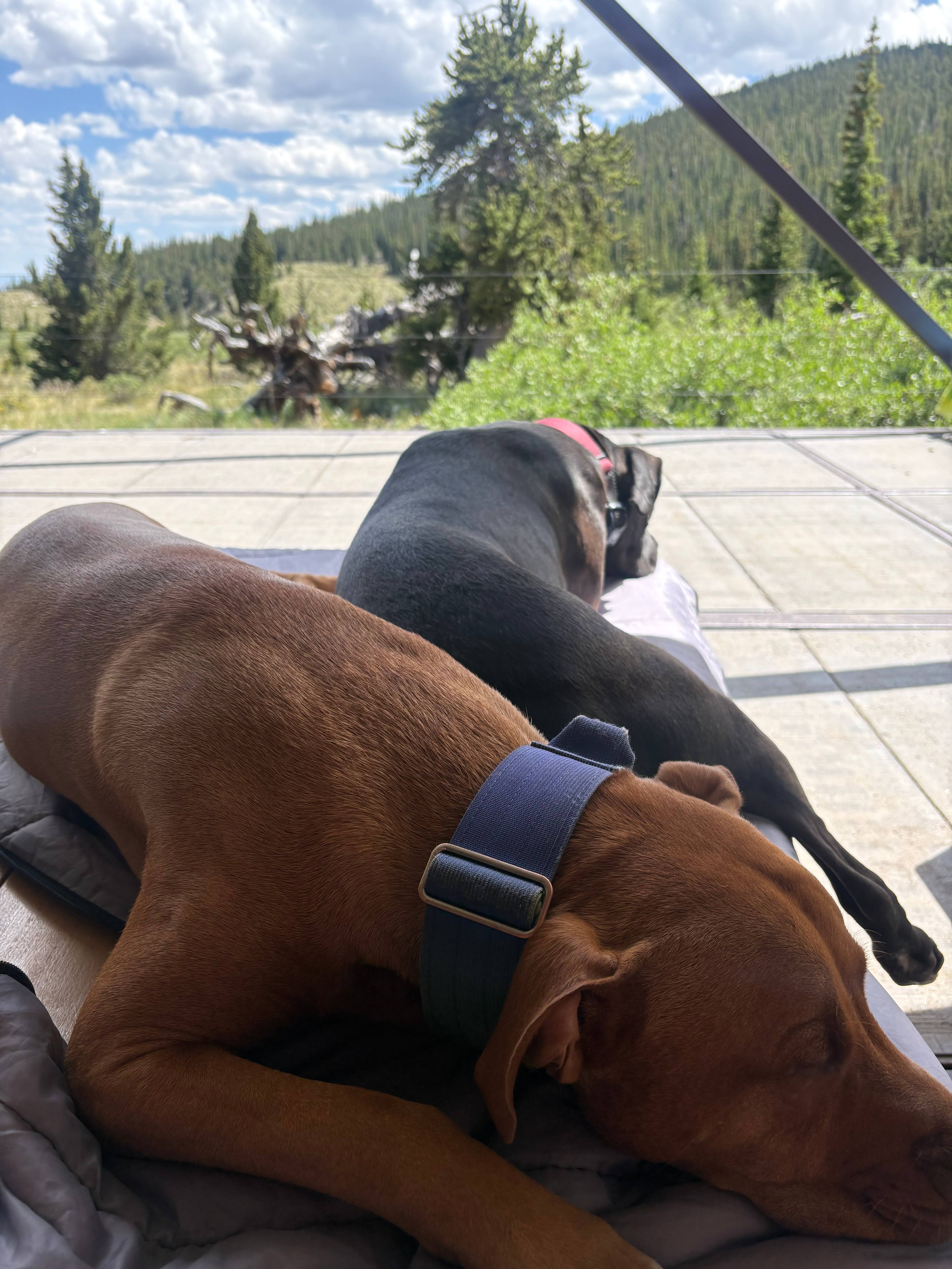 Meadow Hot Springs Glamping Cabin
