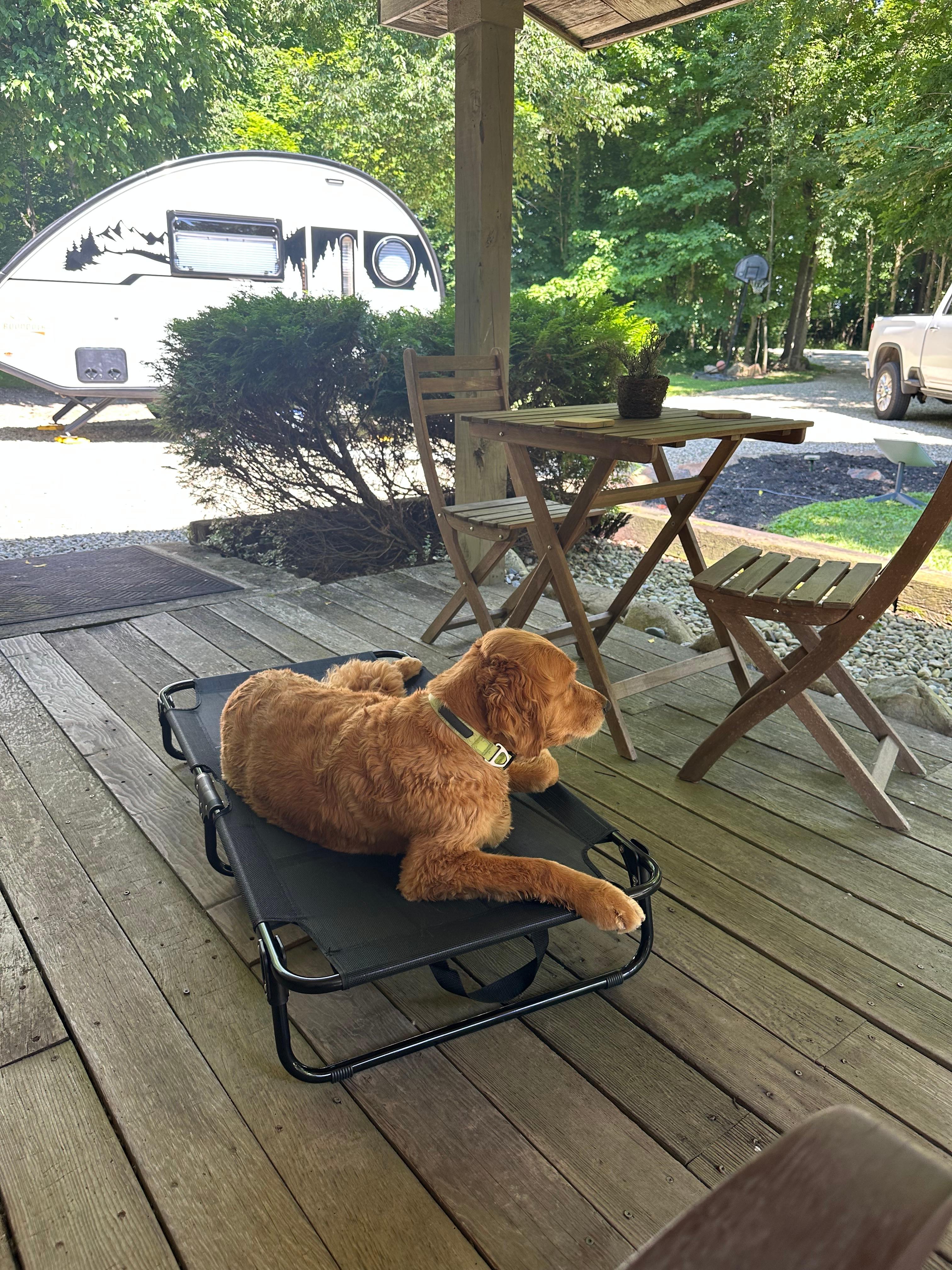 Cabin and Company (RV/Campers only)