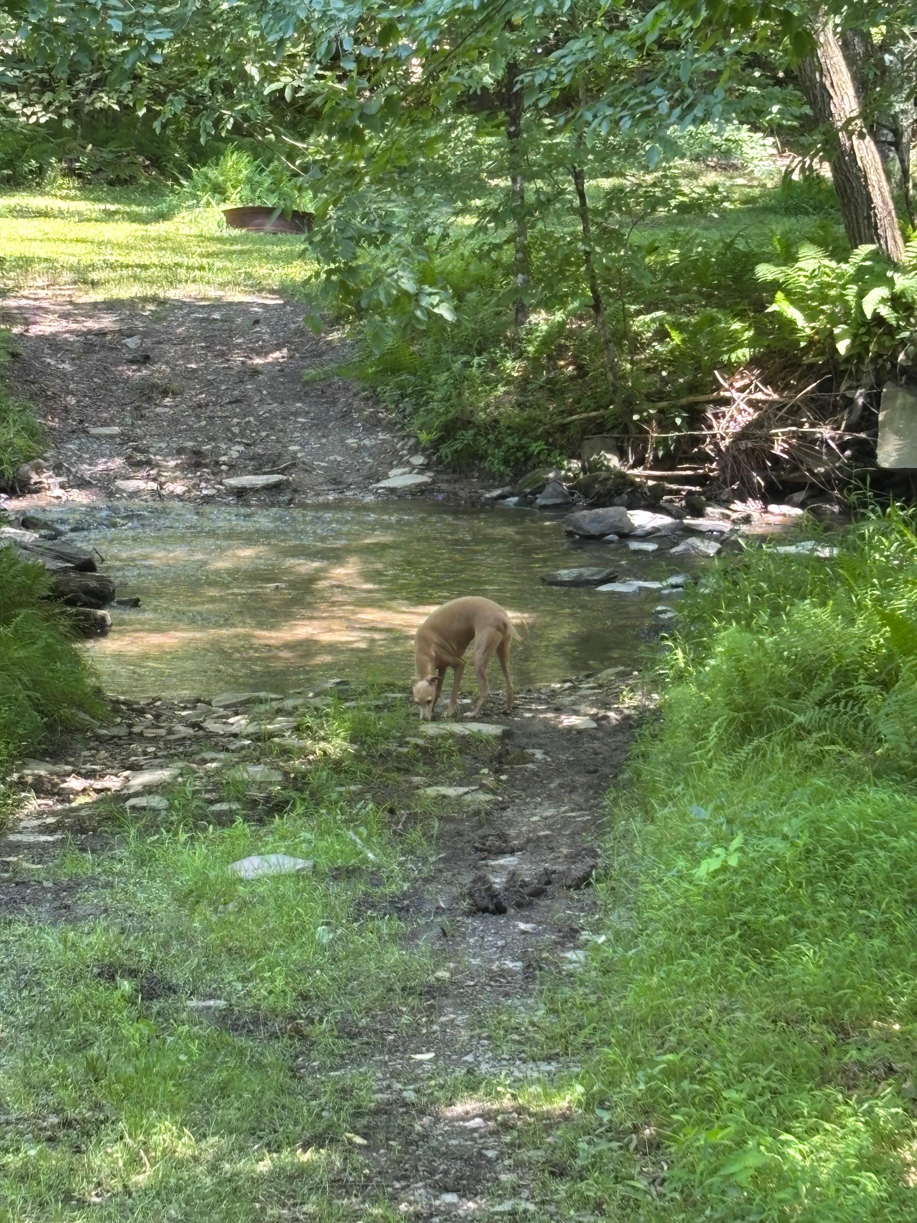 Reyburn Creek