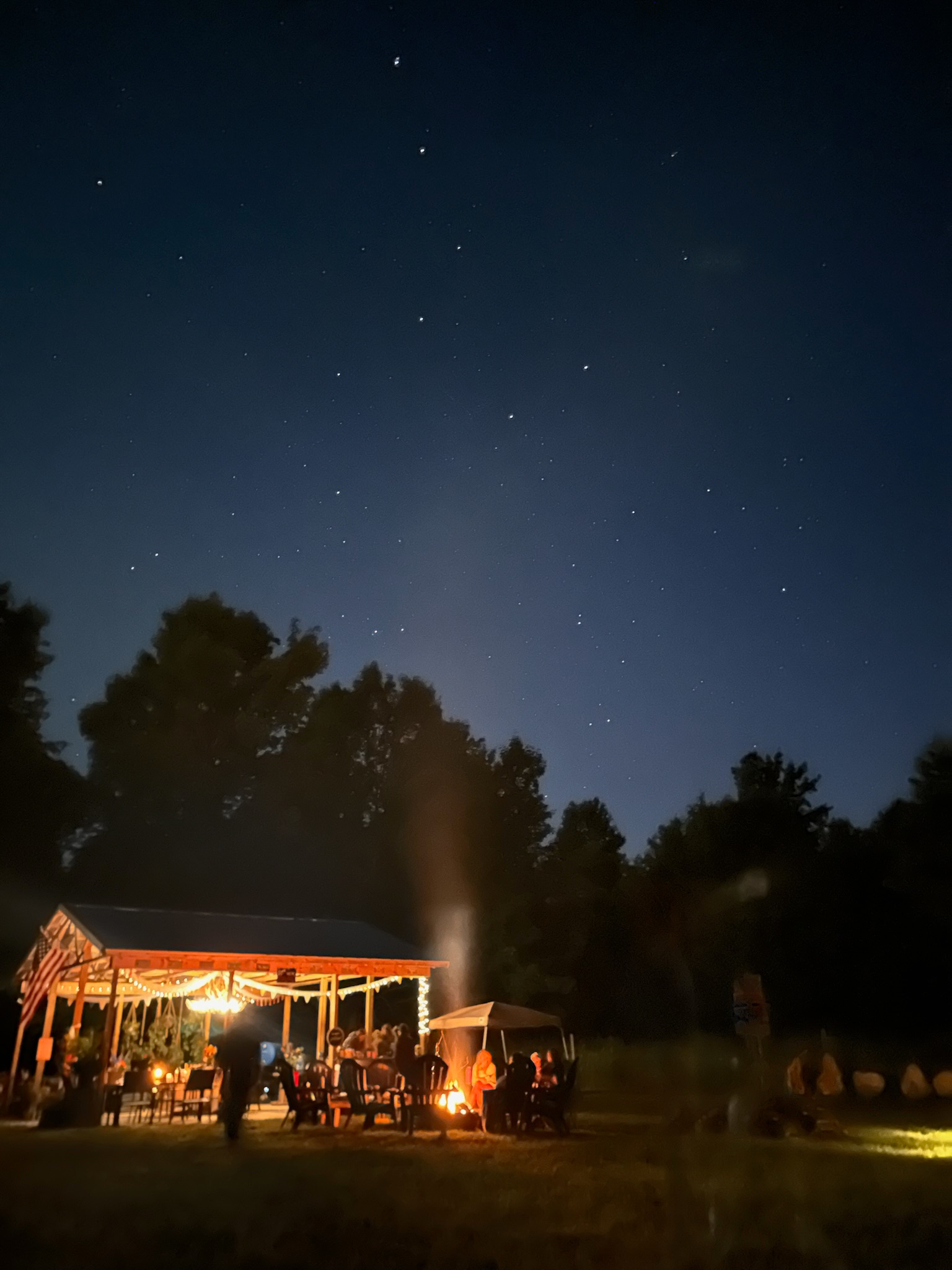 Starry Skies Meadow