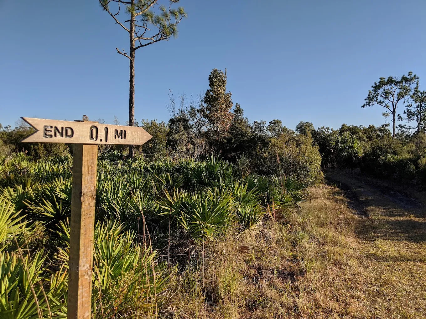 Hal Scott Preserve County Park