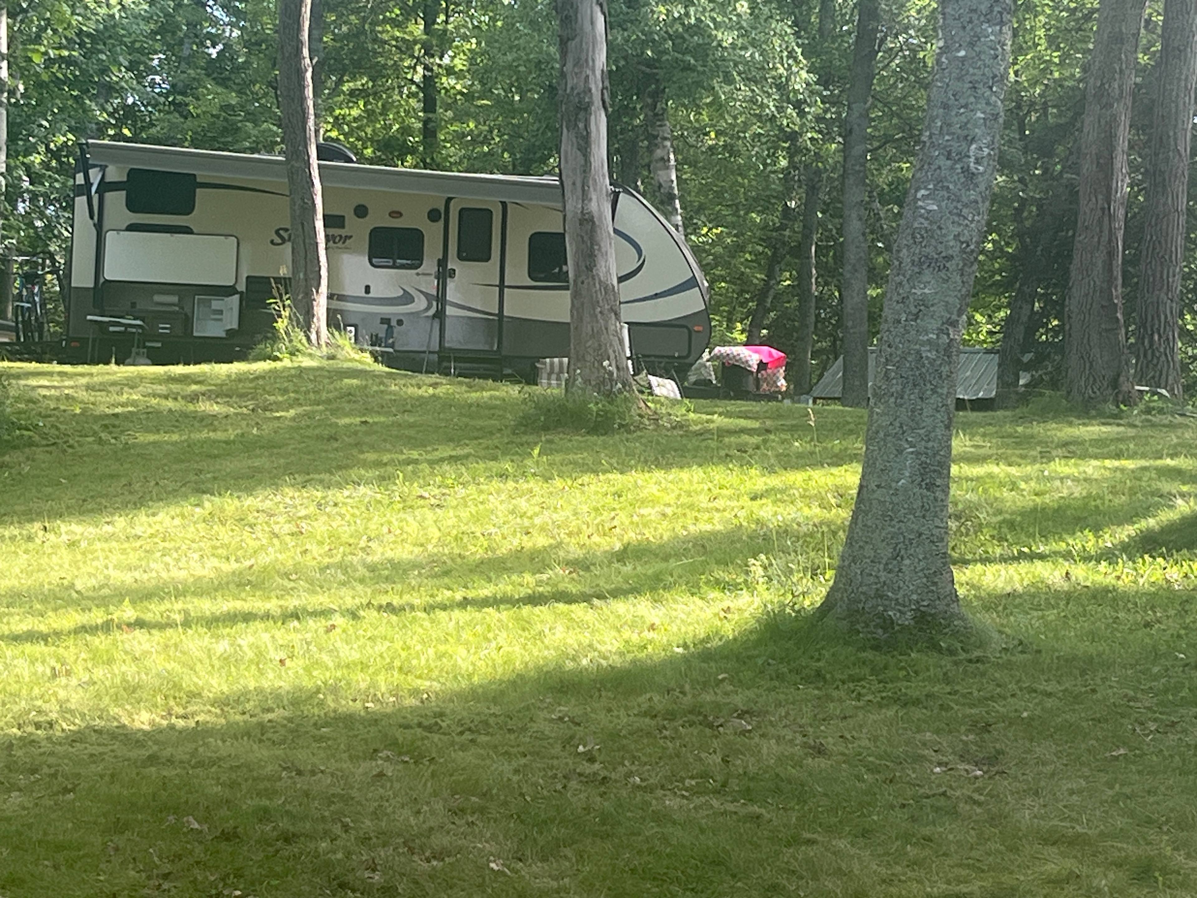 Wise Woods on Fool Lake