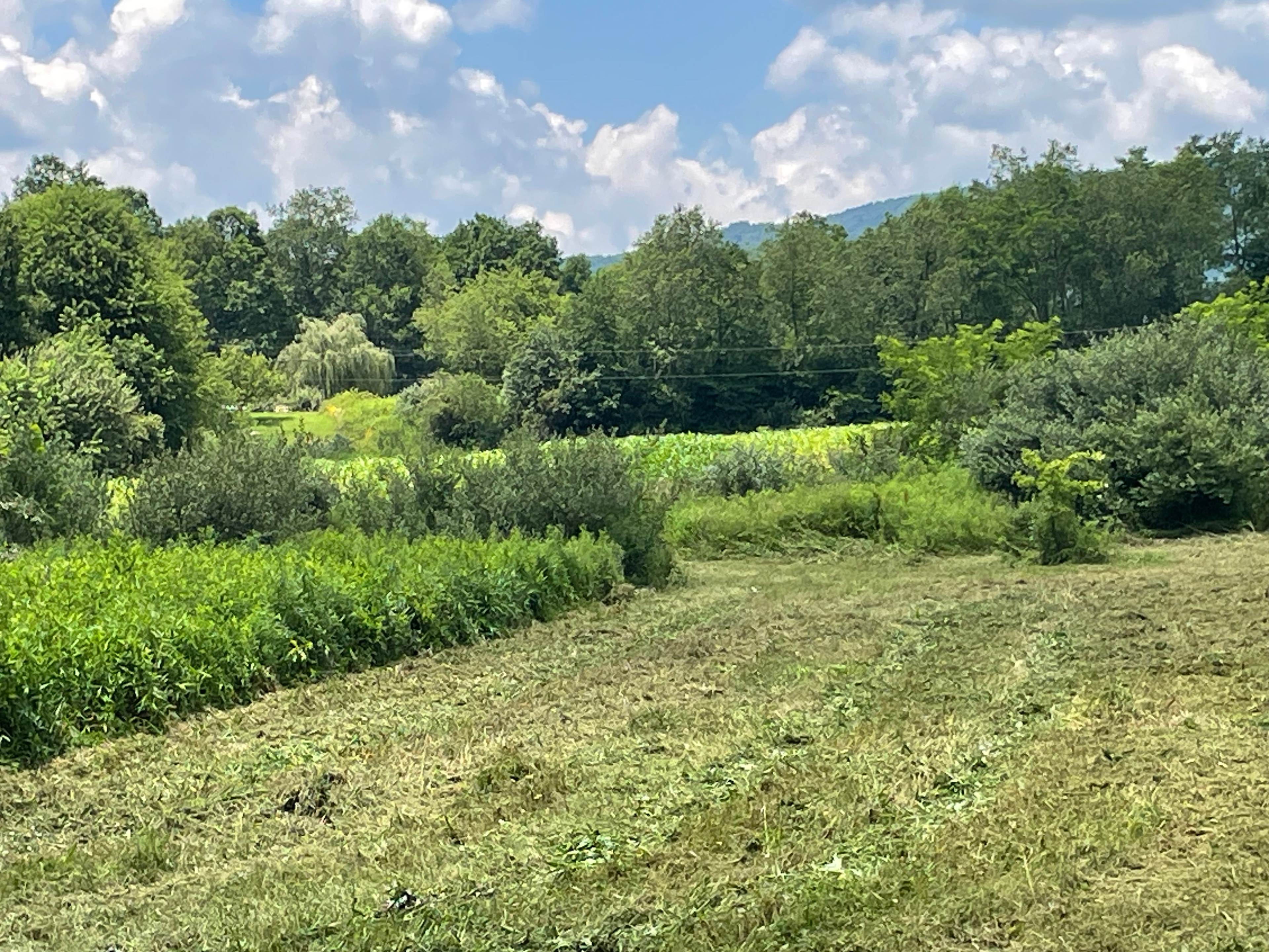 Blue Grass Ranch on Sinking Creek