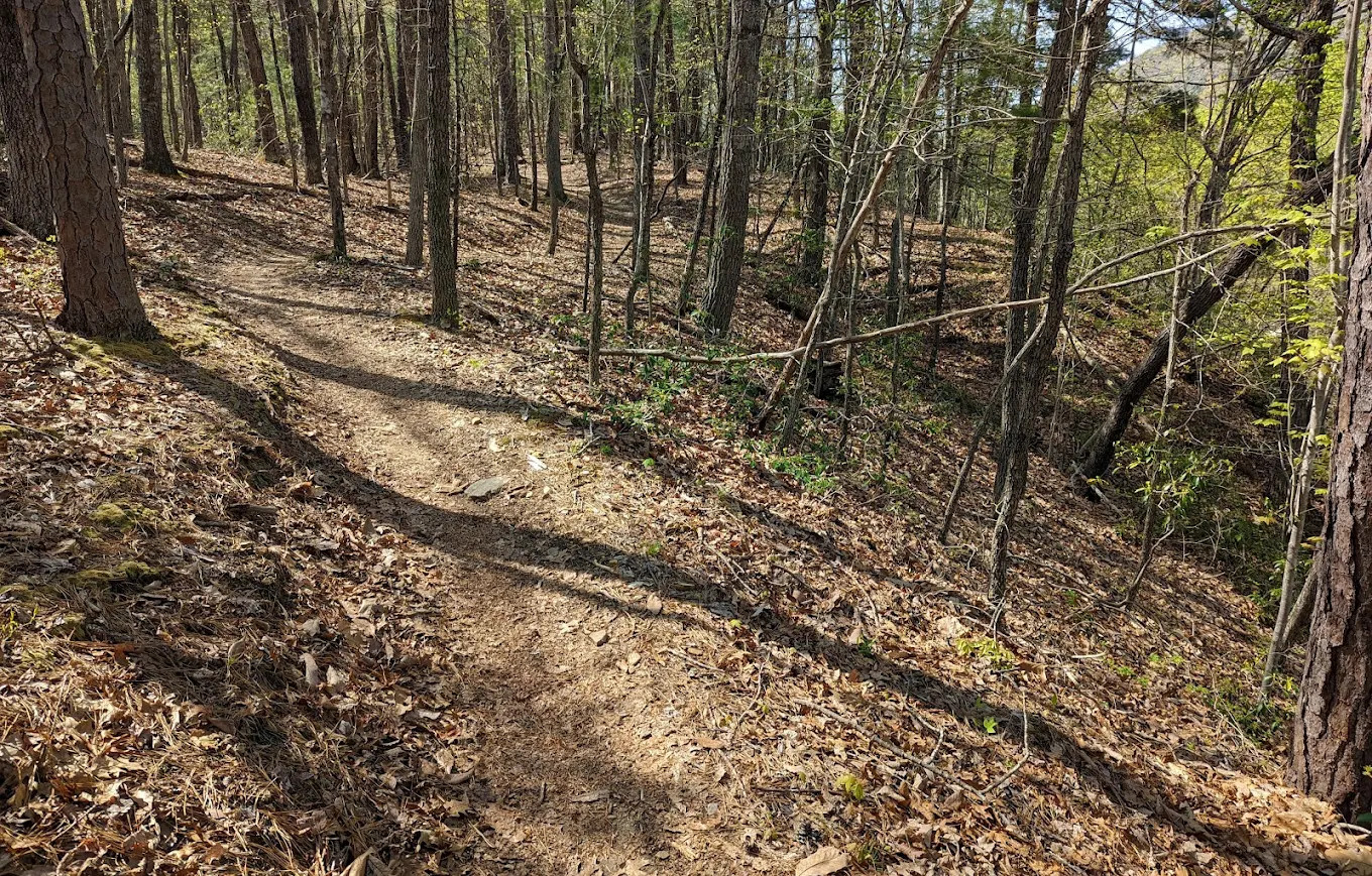 Stokesville Campground