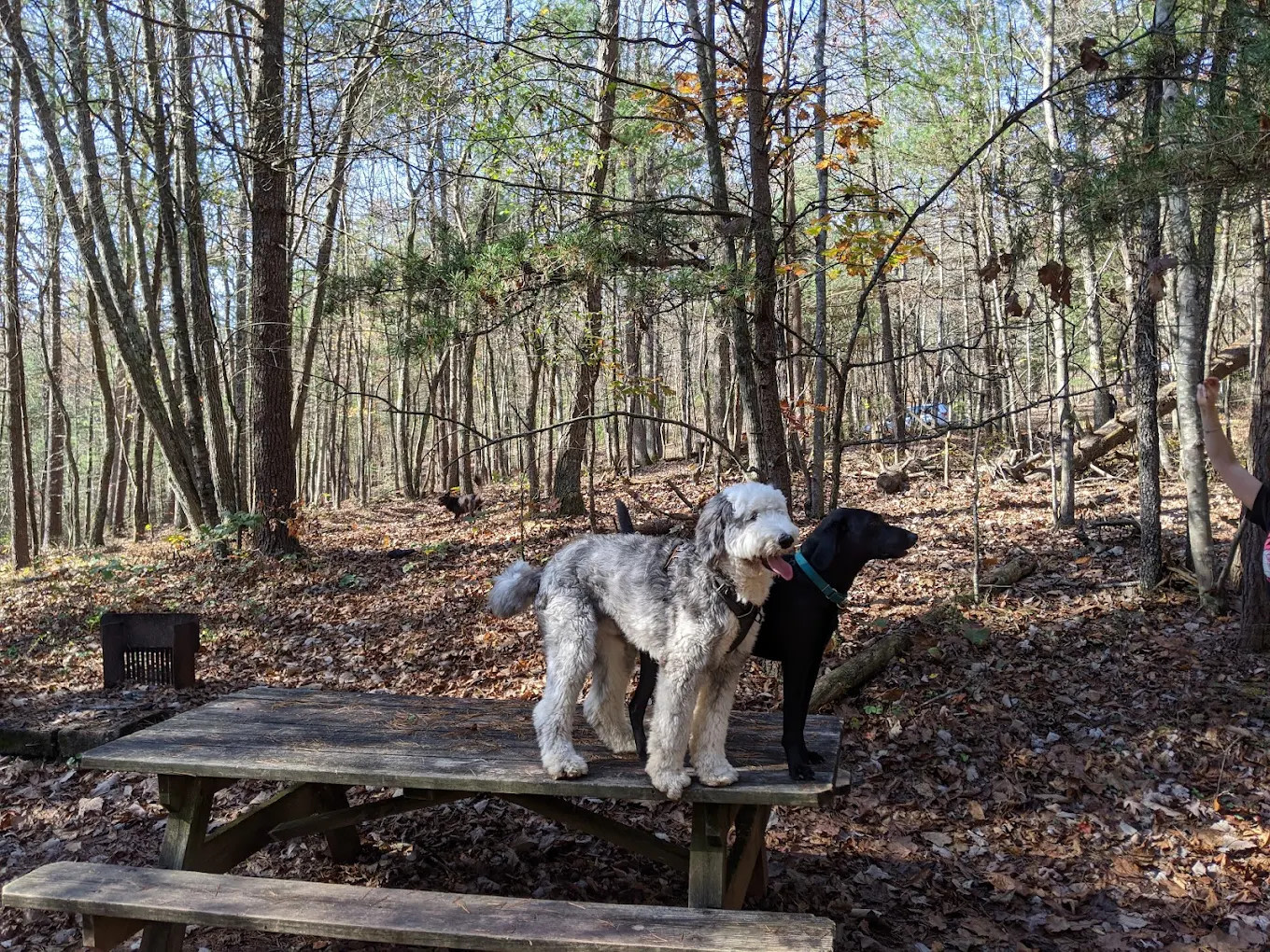 Stokesville Campground
