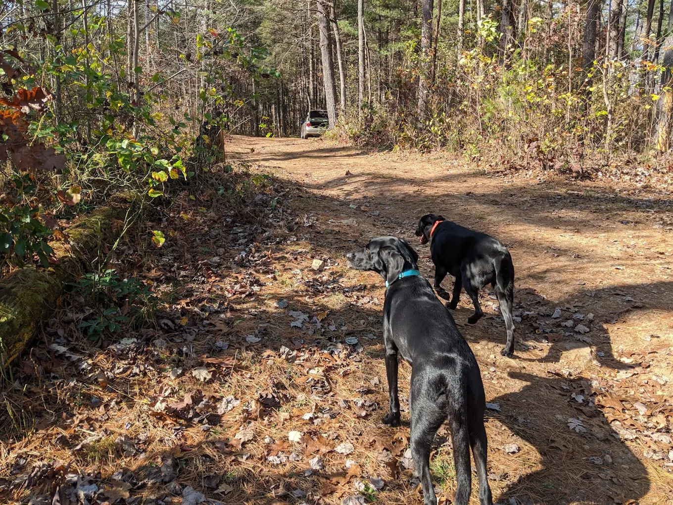 Stokesville Campground