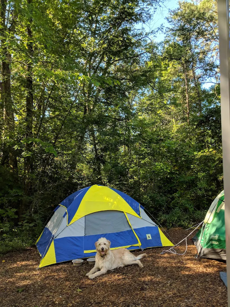 Notchy Creek Campground