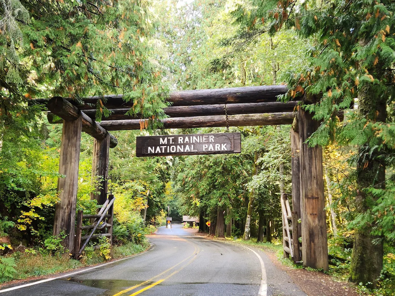 Betsy's Cabins at Mount Rainier