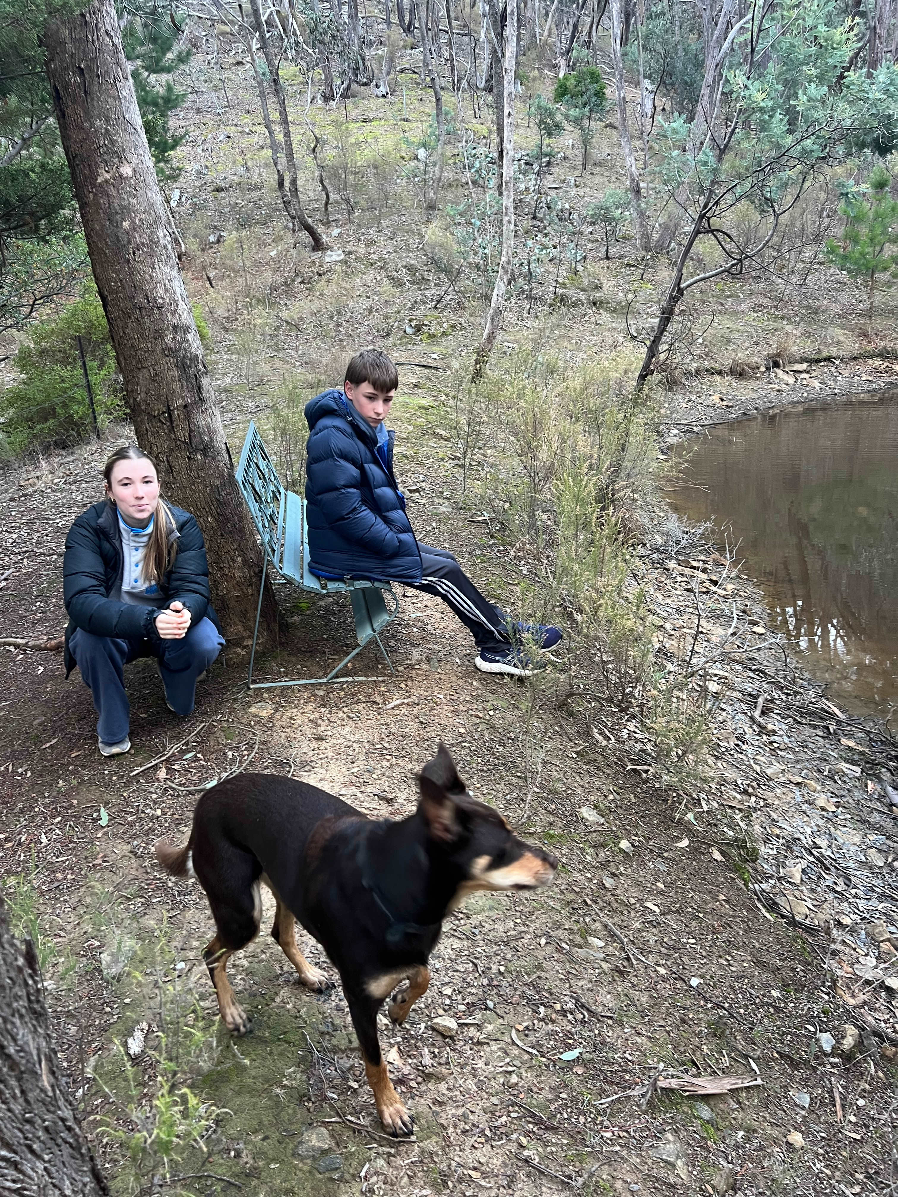 Rustic Miner’s Cabin