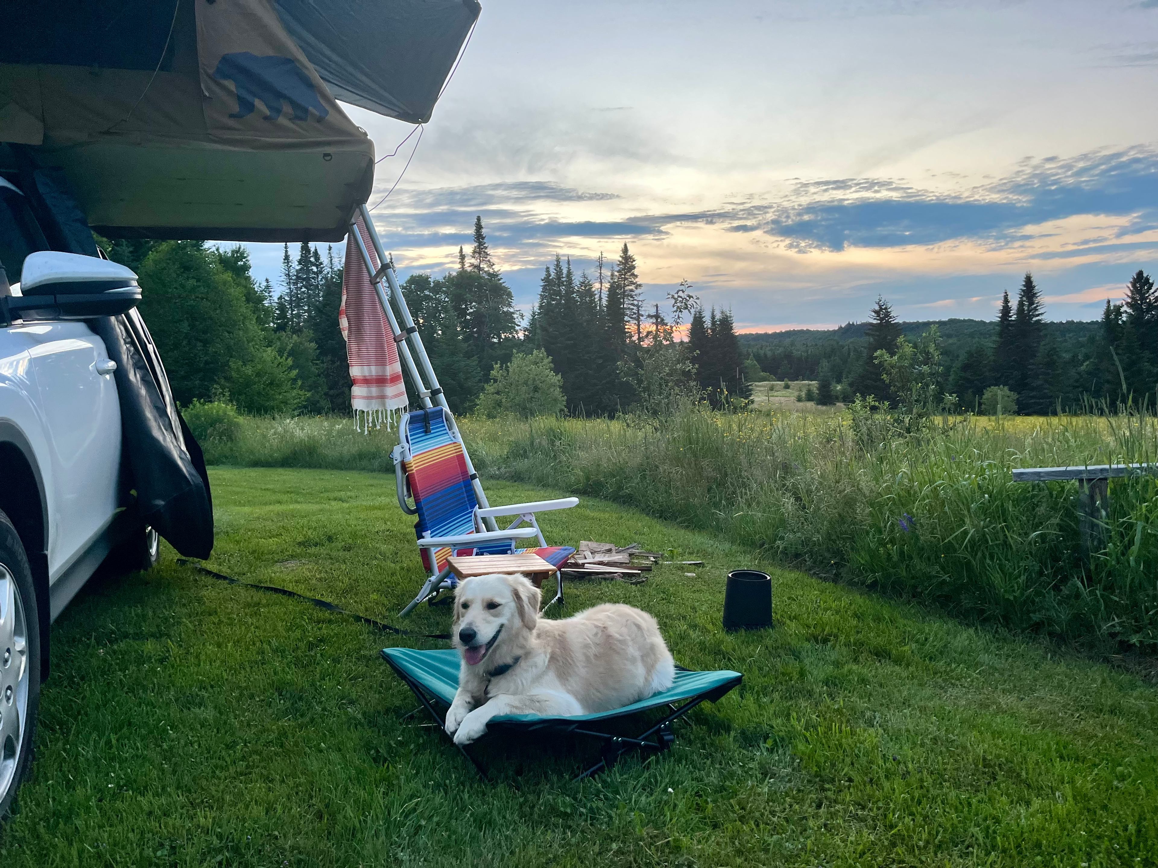 Scenic View RV/Camper Hookups